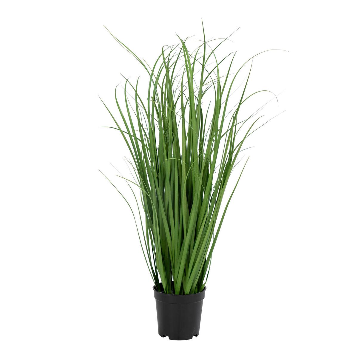 Kunstpflanze Grün Schwarz H: 68 cm - Schwarz/Grün, Basics, Kunststoff (68cm)