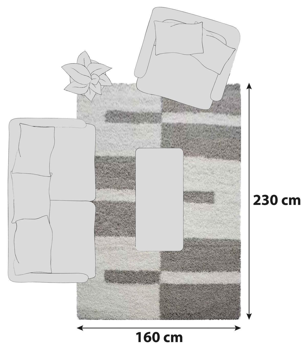 Hochflor Teppich Beige Gala 160x230 Cm - Beige, Design, Textil (160/230cm)