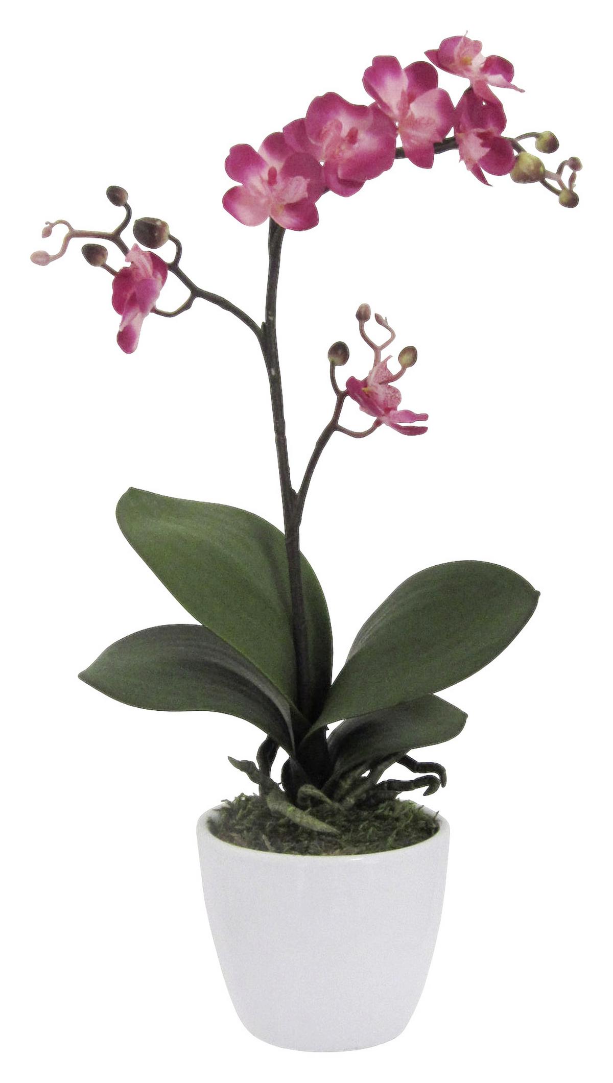 Kunstpflanze Orchidee Bunt L: 40 cm Im Topf, Sofie - Lila/Multicolor, Natur, Kunststoff (40cm)