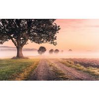 Vliestapete Sh068-Vd4 Misty Morning - Natur (400/250cm)