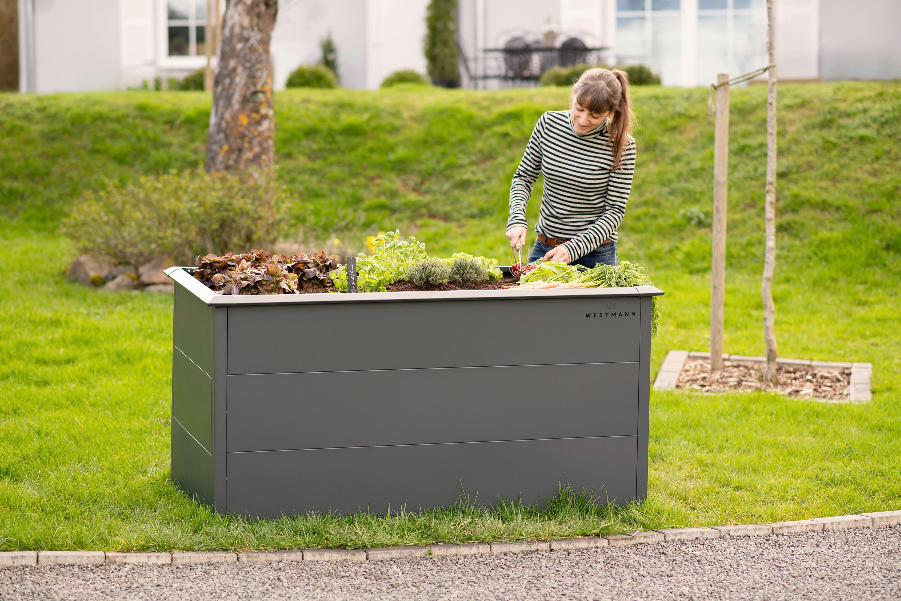 Hochbeet Primus L - Anthrazit, KONVENTIONELL, Metall (75/150/77cm)