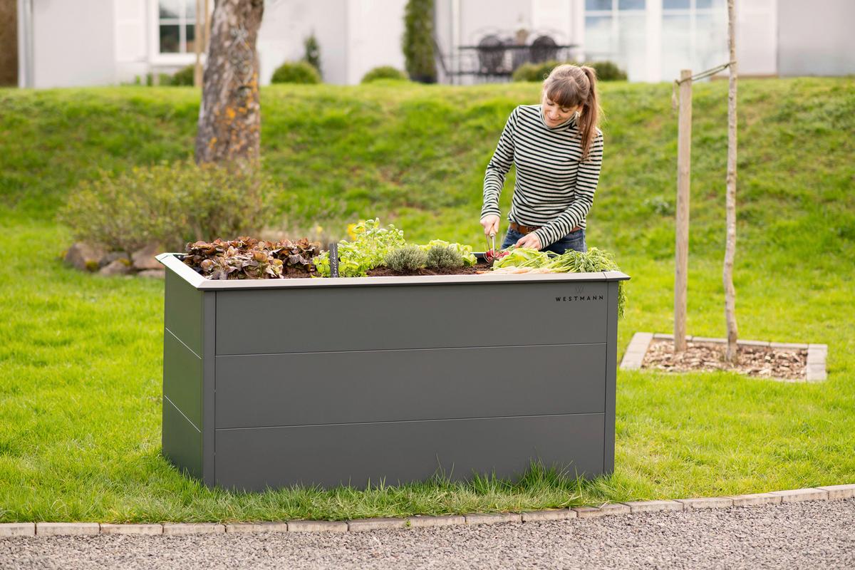 Hochbeet Primus L - Anthrazit, KONVENTIONELL, Metall (75/150/77cm)