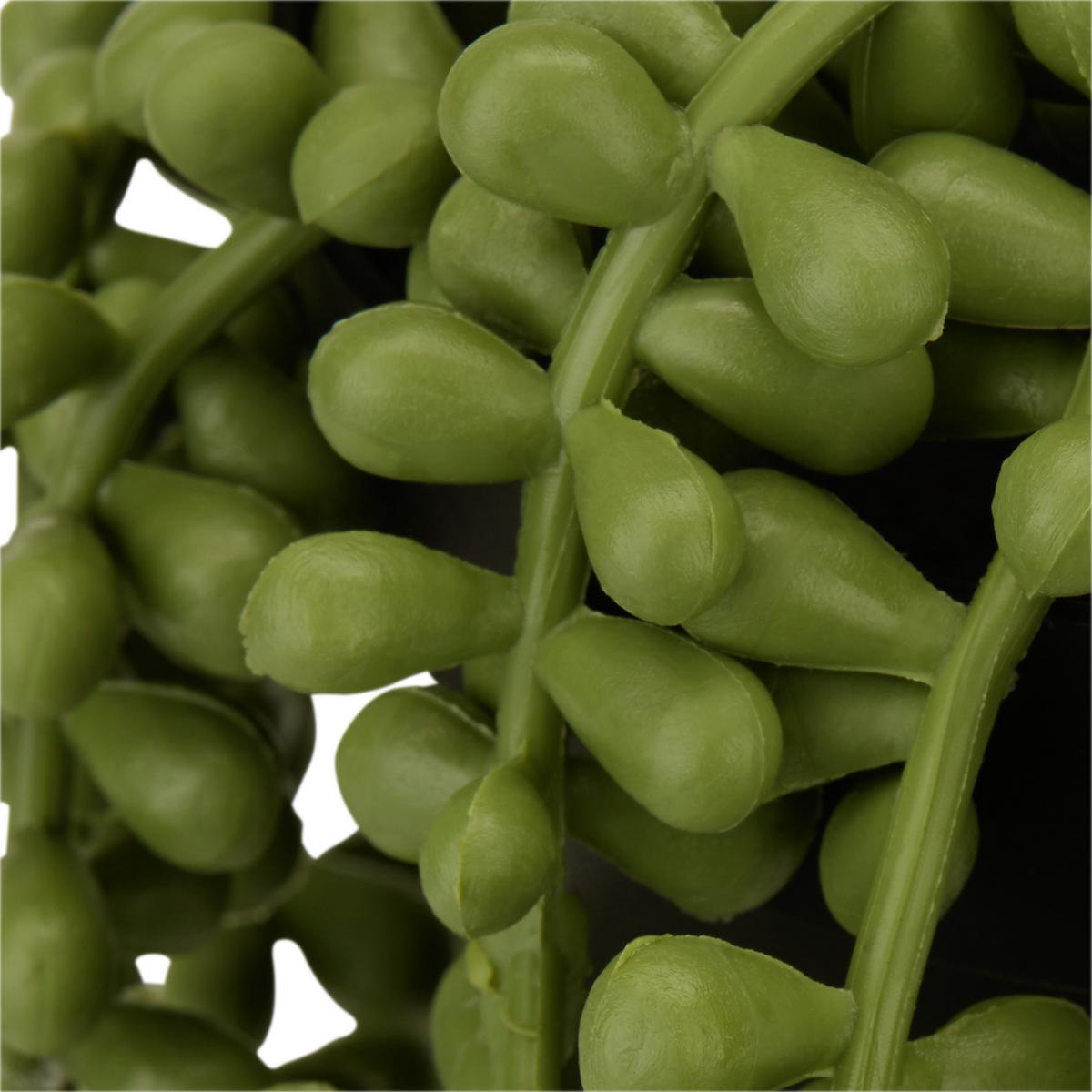 Kunstpflanze Sedumhänger Grün L: 34 cm, Casimir - Schwarz/Grün, Basics, Kunststoff (34cm) - Ondega