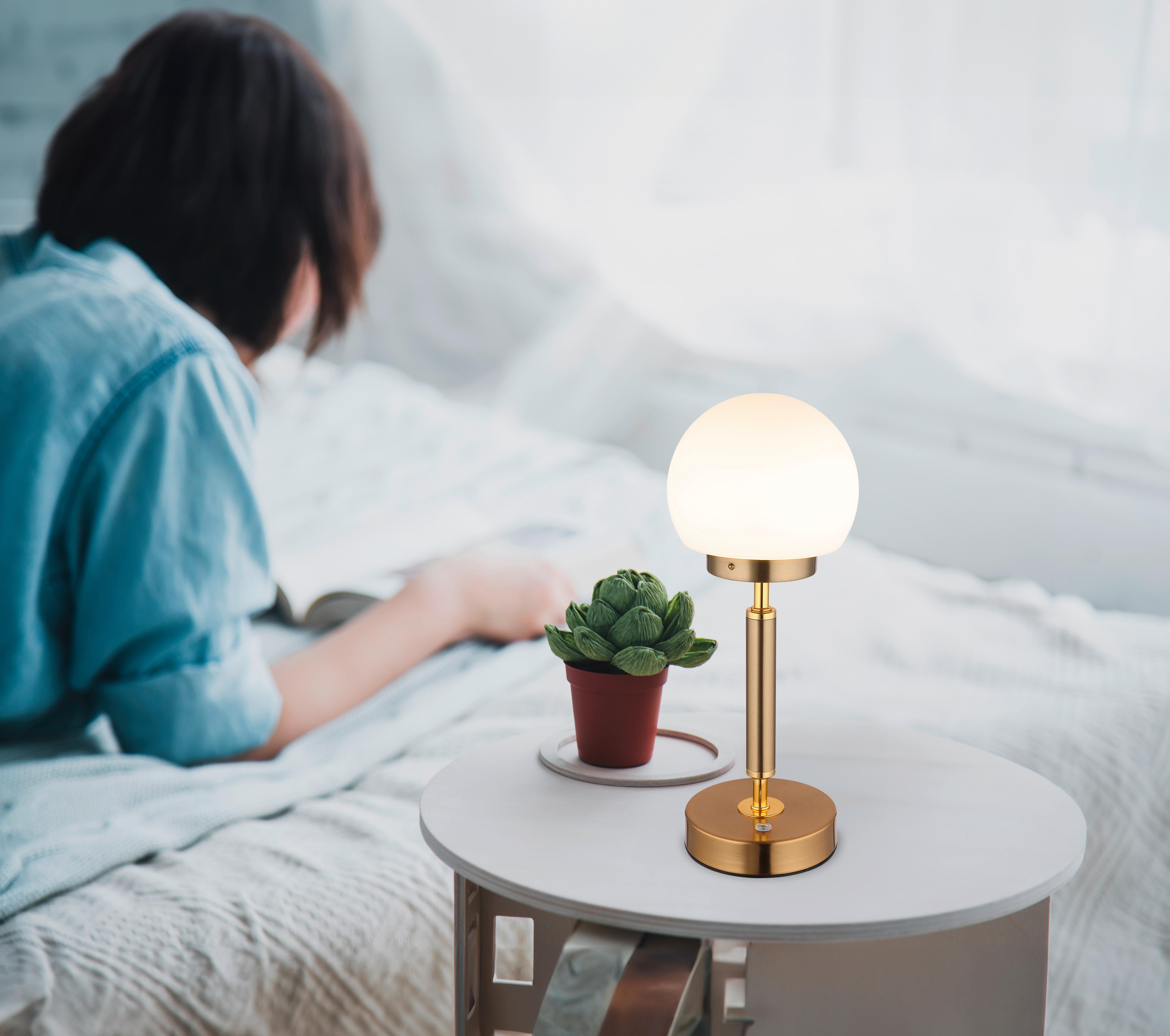 LED-Tischleuchte 21033m - Messingfarben/Opal, KONVENTIONELL, Glas/Kunststoff (11,5/28,5cm) - Globo