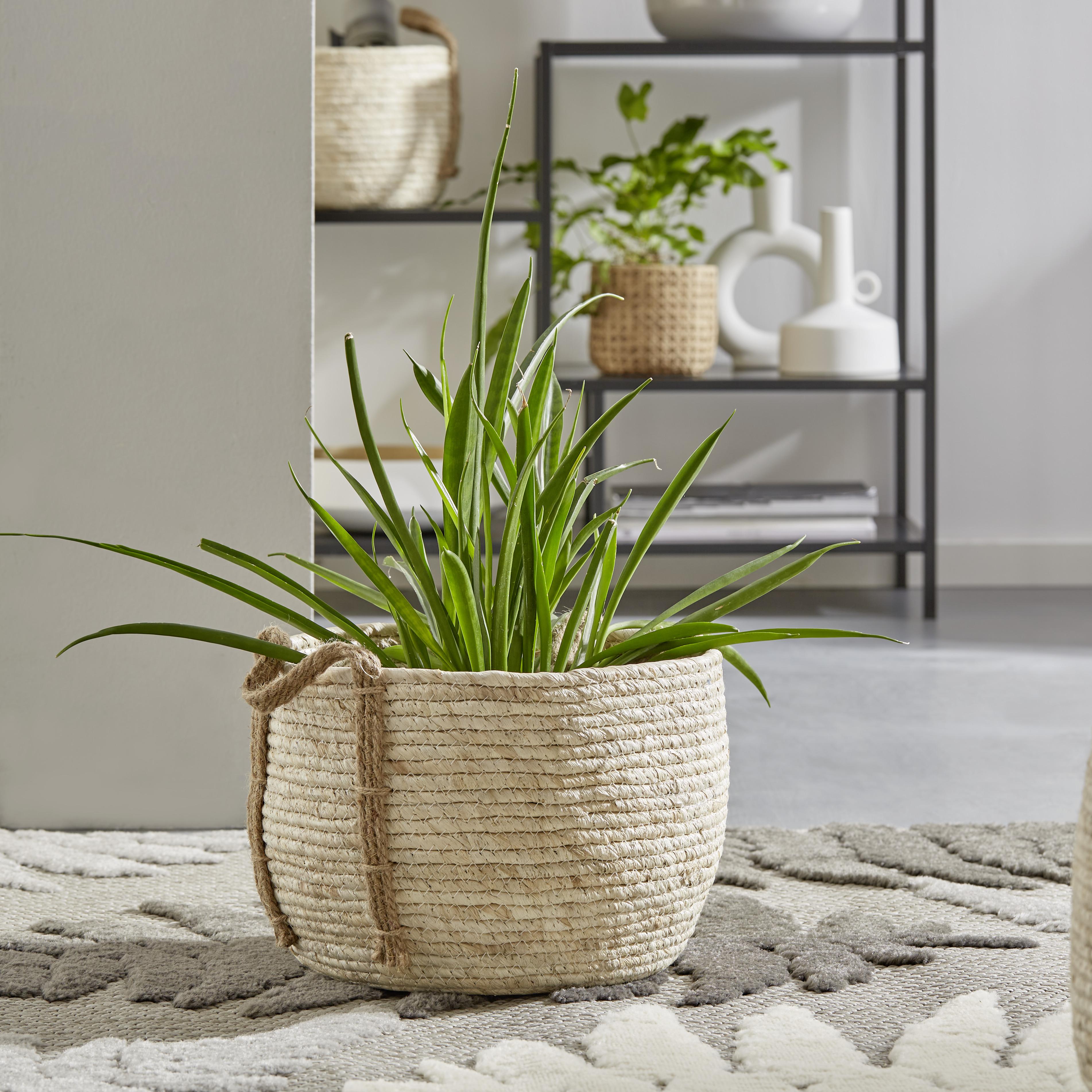 Aufbewahrungskorb Flordeliza 30x20 cm Maisblätter Natur - Weiß, Basics, Naturmaterialien (30/20cm) - Luca Bessoni