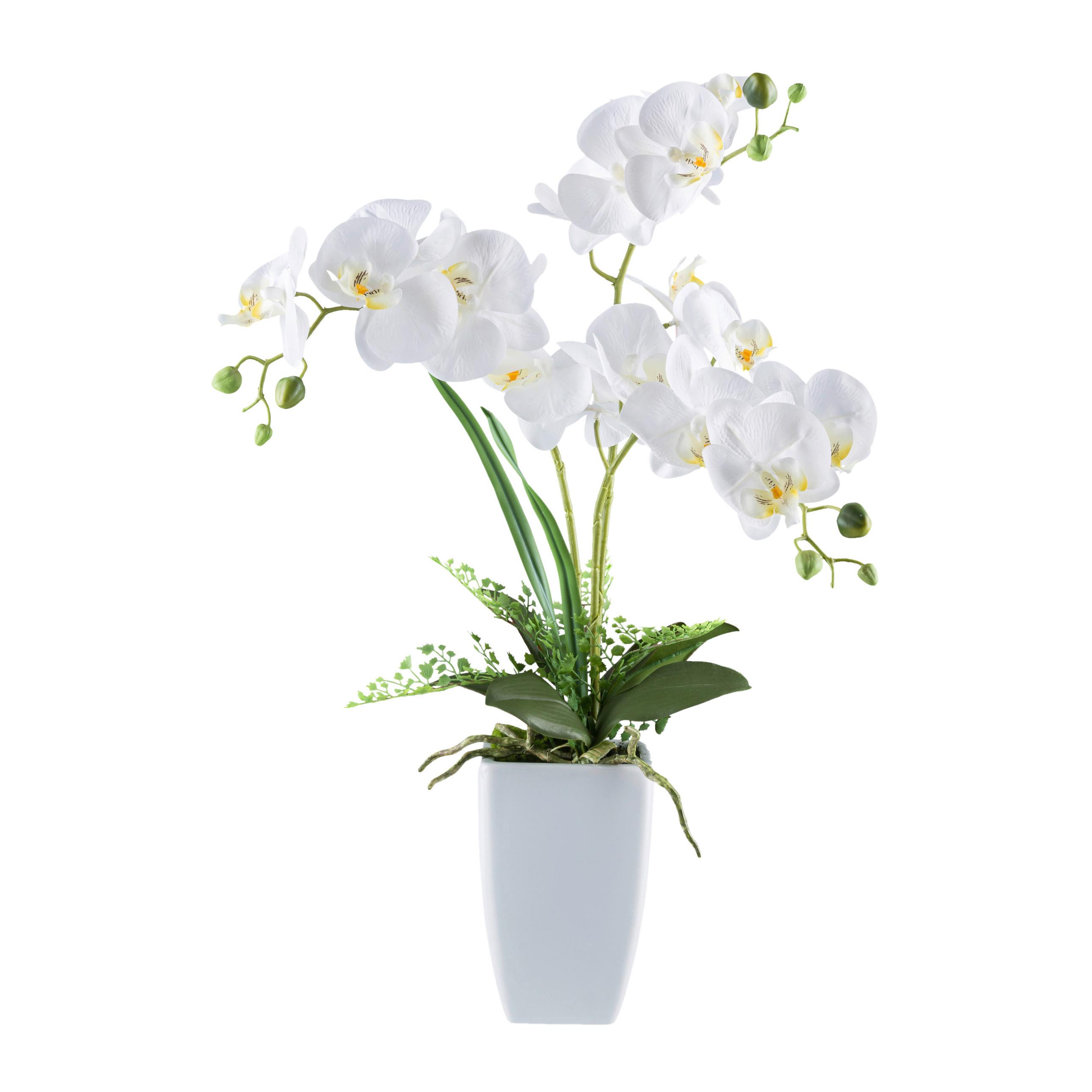 Kunstpflanze Orcideen Grün/Weiß, 67 cm - Weiß/Grün, Design, Keramik/Kunststoff (67cm)