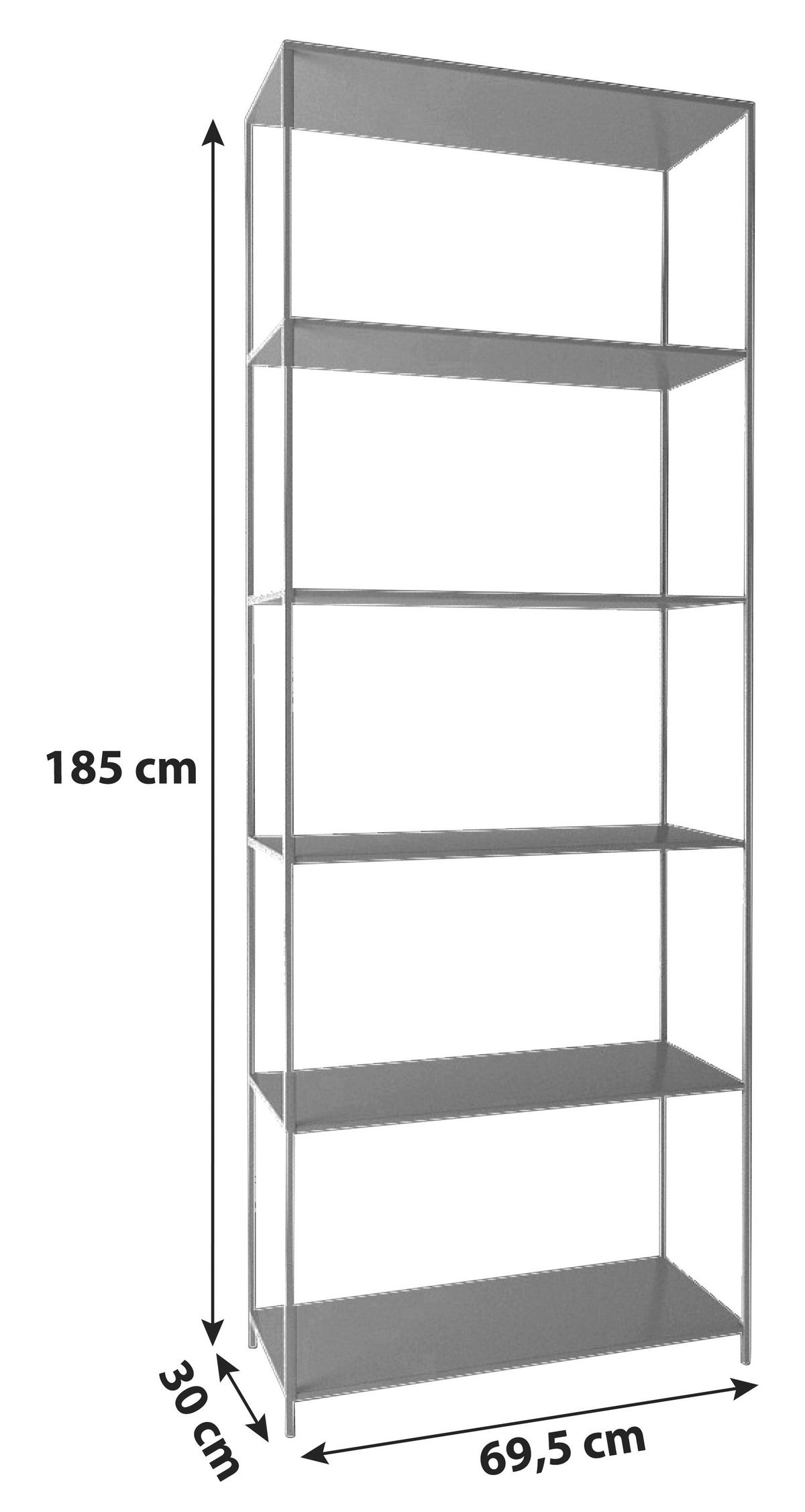 Regal Stahl Newcastle Trend B: 69,5 Cm Schwarz - Schwarz, Trend, Metall (69,5/185/30cm) - MID.YOU