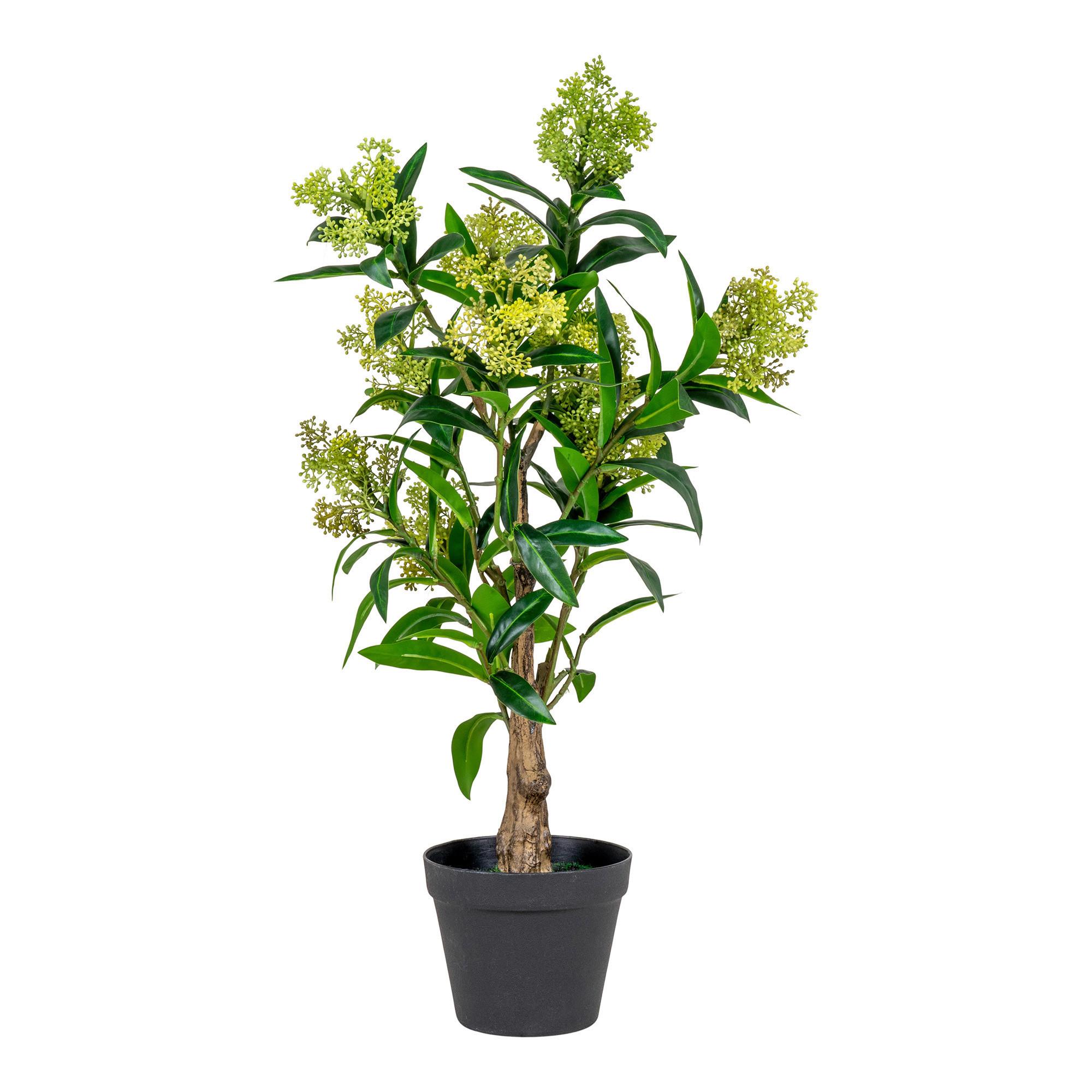 Kunstpflanze Skimmia H: 75 Cm Grün Schwarz - Schwarz/Grün, Basics, Kunststoff (75cm)