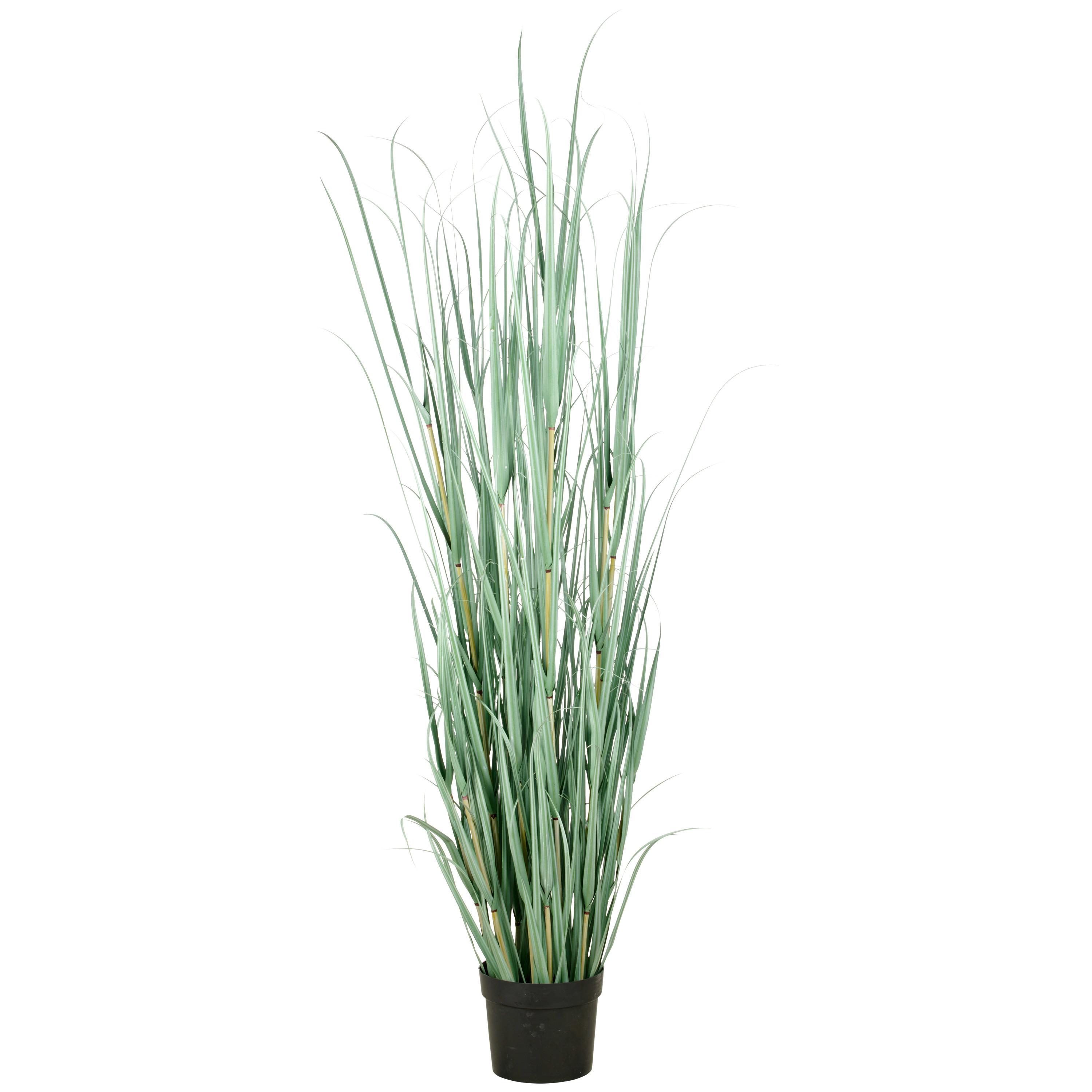 Kunstpflanze Grau Grün B: 25 cm - Grau/Grün, Basics, Kunststoff (25/175/25cm)