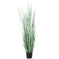 Kunstpflanze Grau Grün B: 25 cm - Grau/Grün, Basics, Kunststoff (25/175/25cm)