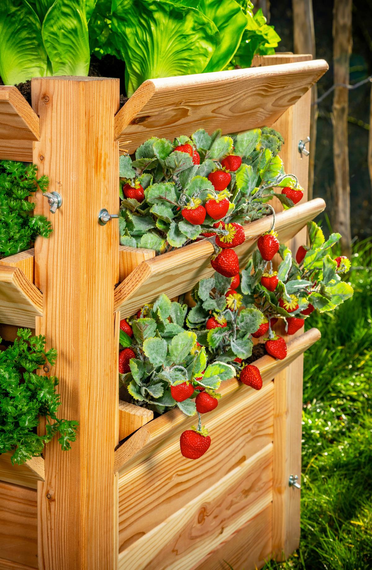 Hochbeet Echtholz Lärche 65x73x65 cm - Lärchefarben, Basics, Holz (65/73/65cm)