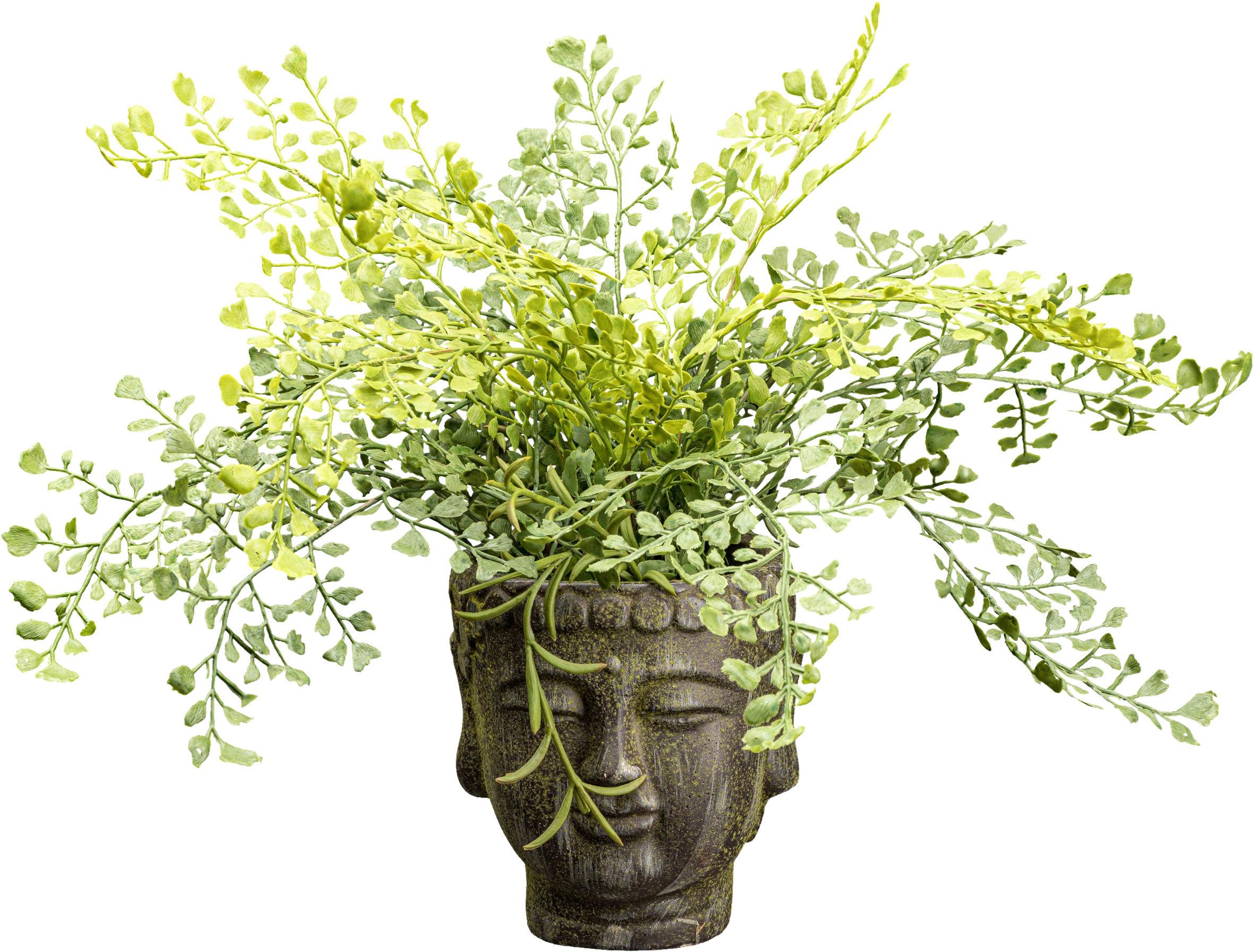 Kunstpflanze Frauenhaarfarne H: 35 Cm - Braun/Grün, Design, Kunststoff/Stein (35cm) - P & B