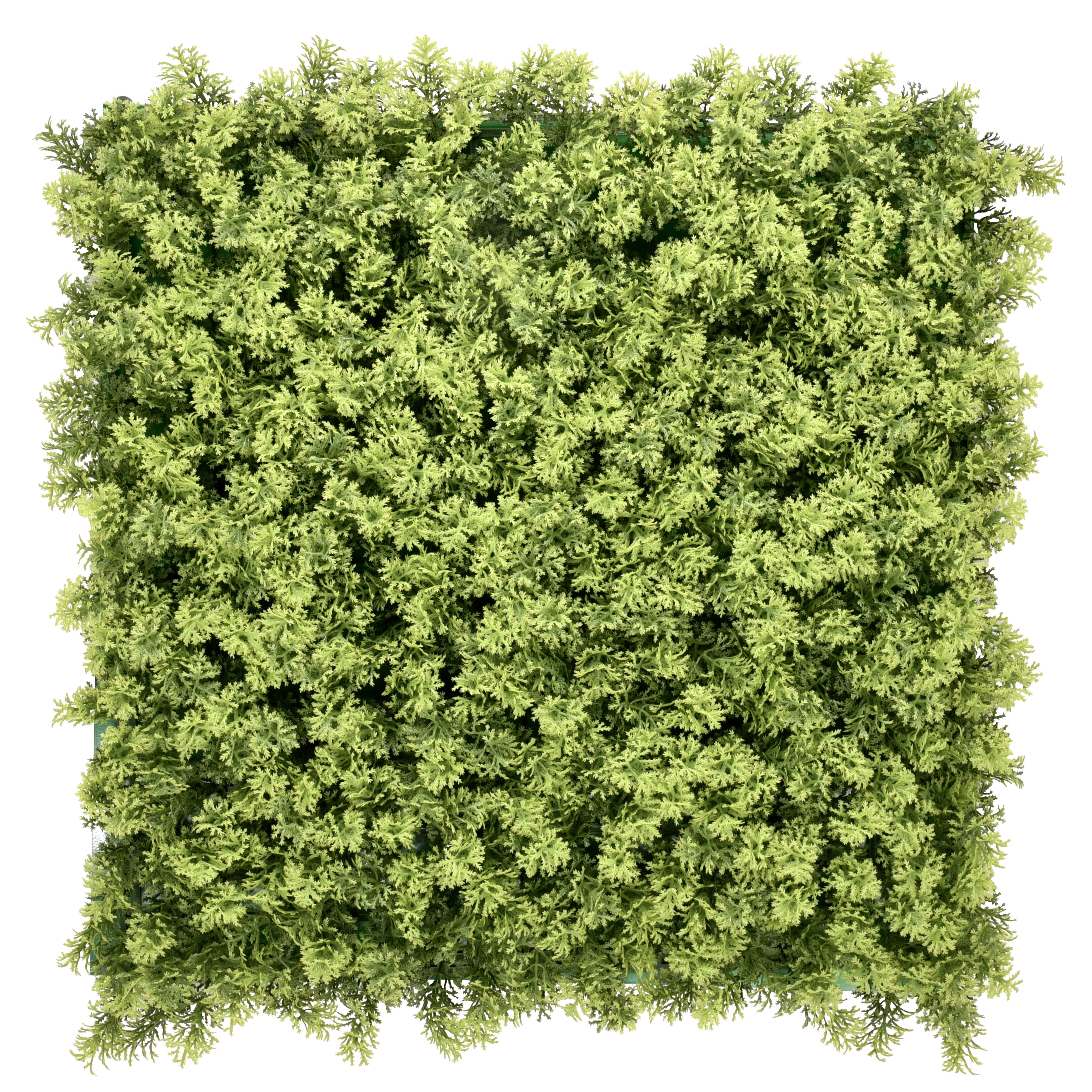KUNSTPFLANZE Leafluxe Grün B: 55cm - Grün, MODERN, Kunststoff (55/55/7cm) - MID.YOU