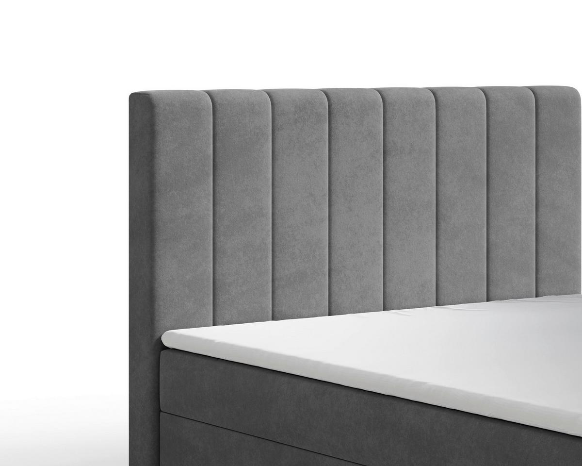 BOXBETT Lila Graphitfaren 160x200cm - Graphitfarben/Schwarz, MODERN, Holz/Kunststoff (160/200cm) - MID.YOU