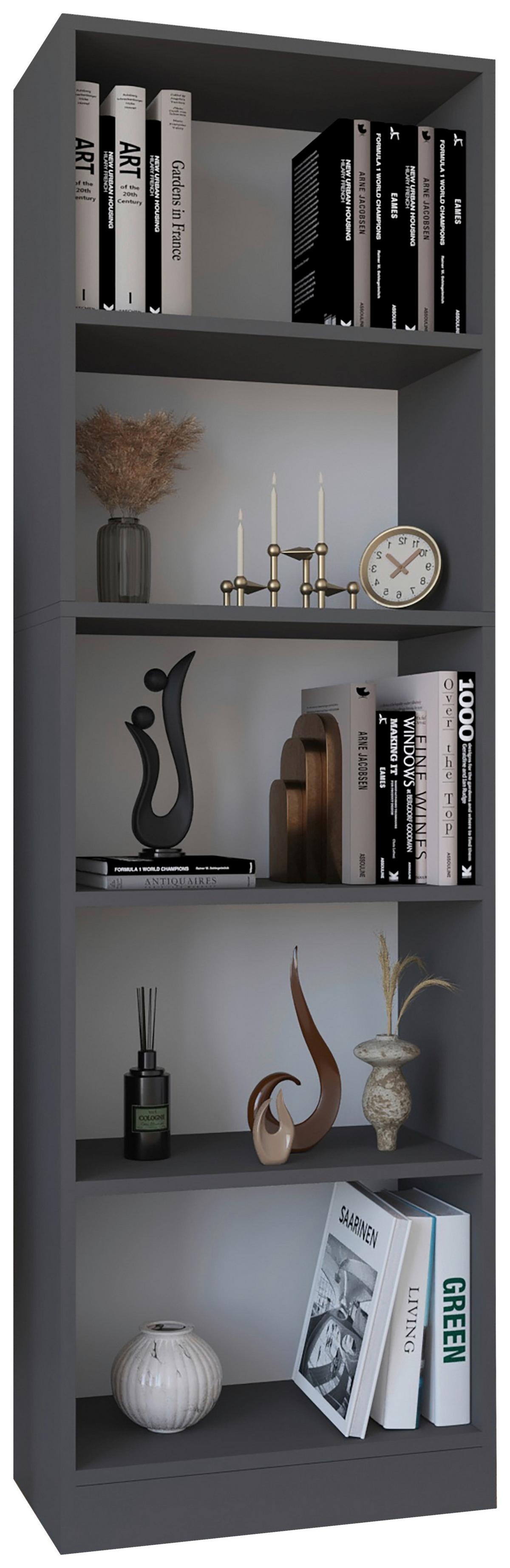 Regal Dilos Anthrazit B: 56 cm - Anthrazit, Basics, Holzwerkstoff (56/182/30cm) - MID.YOU