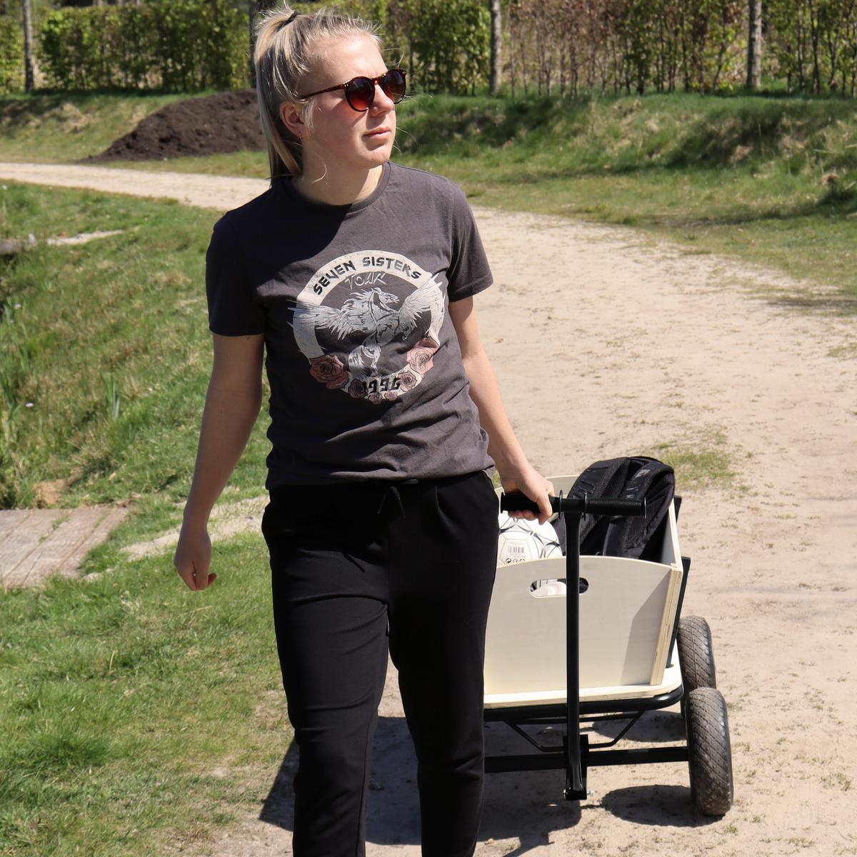 Bollerwagen Cc93611 - Schwarz/Braun, KONVENTIONELL, Holz/Metall (61/95/97cm) - Ambia Garden