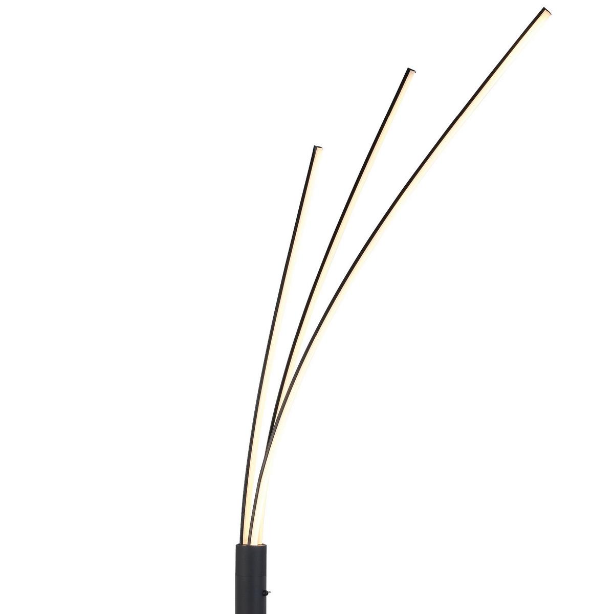 Led Állólámpa Brandon - fekete, Modern, műanyag/fém (28/210cm) - Luca Bessoni