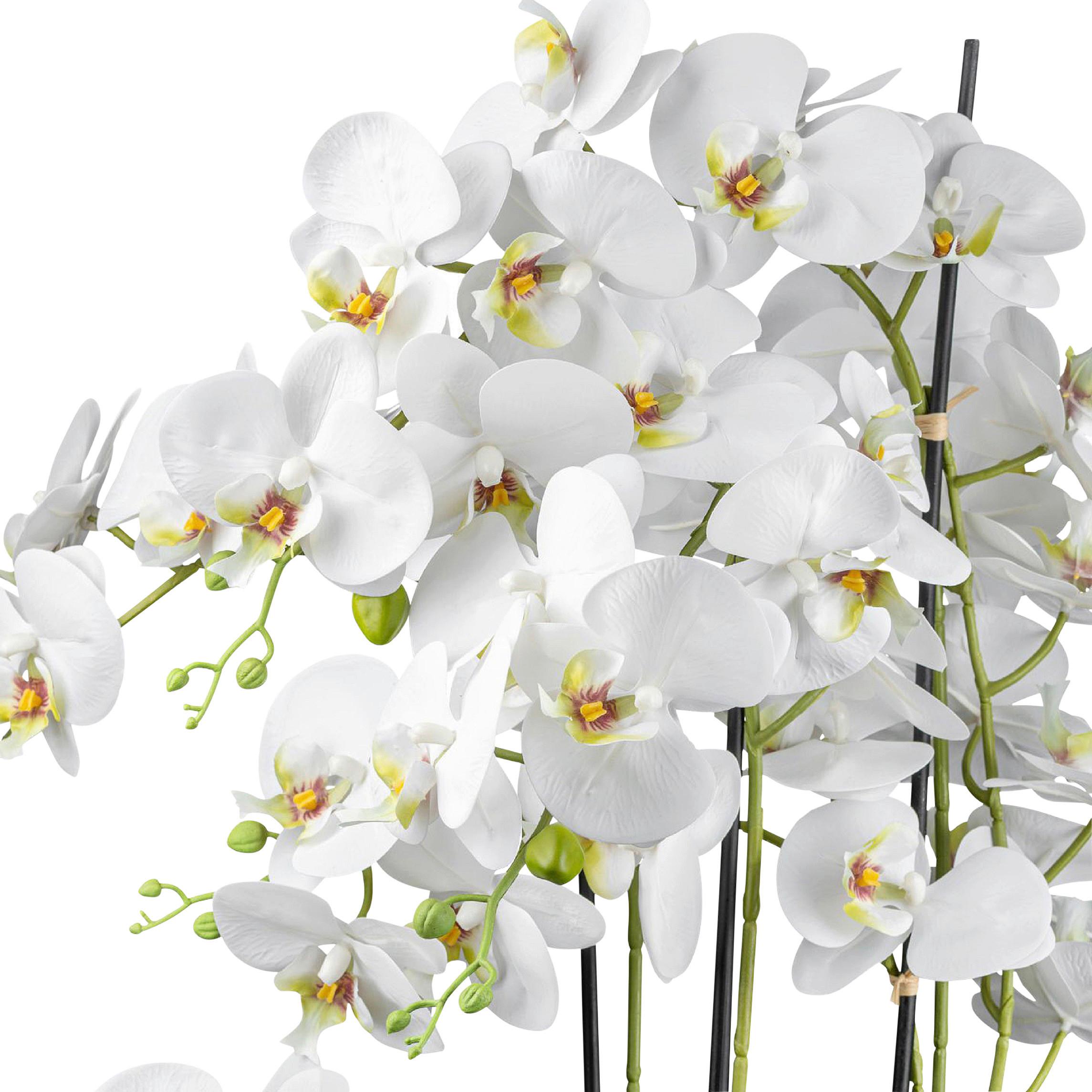 Kunstpflanze Orchideen Weiß, Topf: Weiß, H: 63 cm - Weiß/Grün, Design, Keramik/Kunststoff (63cm) - P & B