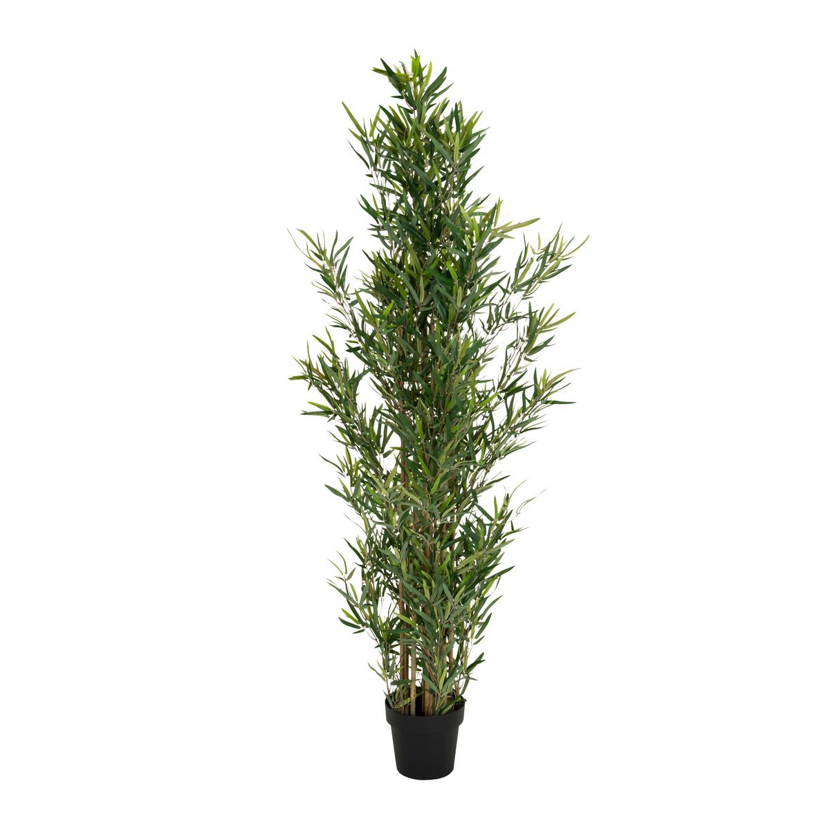 Bambus Bambus - Schwarz/Grün, Basics, Kunststoff/Textil (70/165/70cm) - MID.YOU