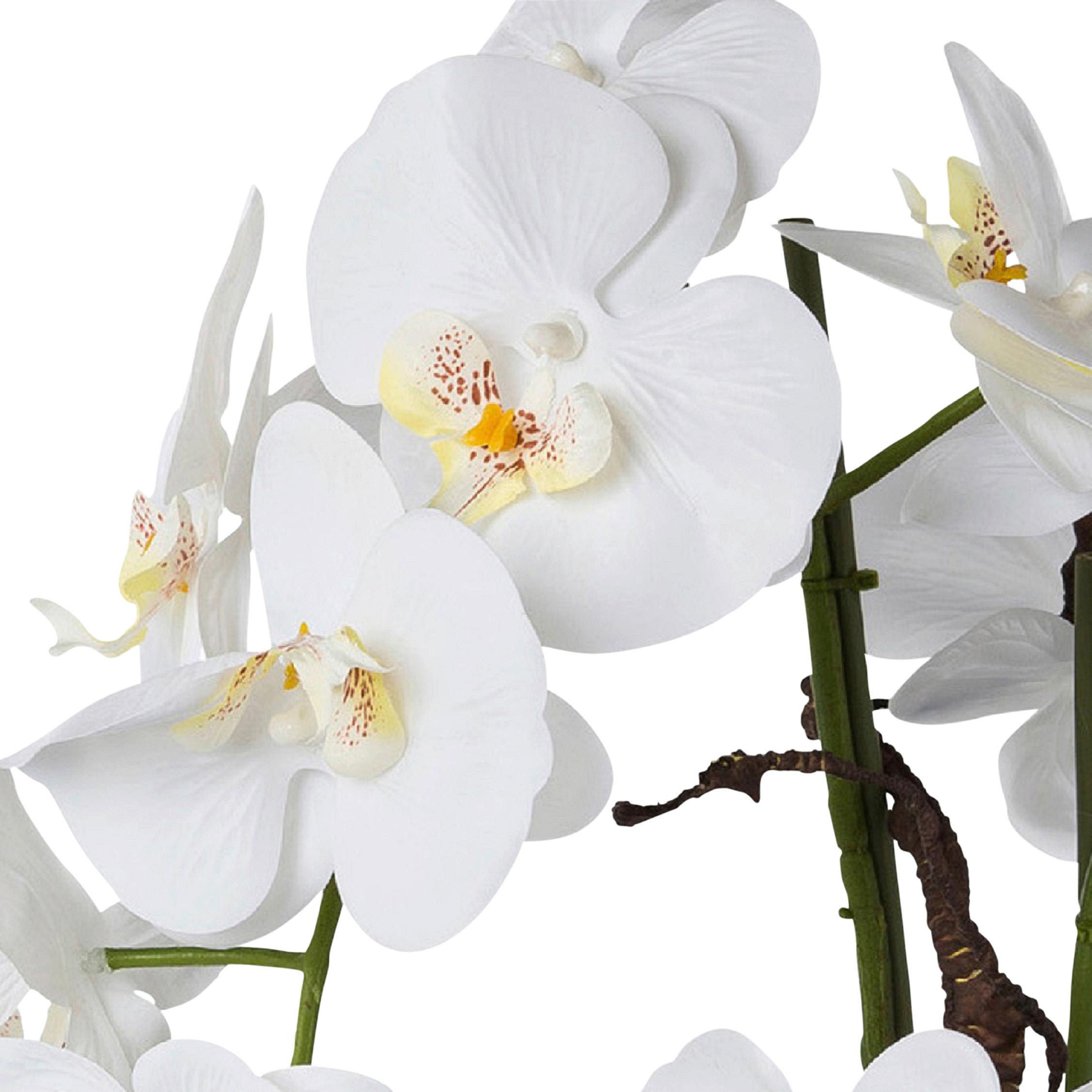 Kunstpflanze Orchideen Weiß, Topf: Weiß, H: 55 cm - Weiß/Grün, Design, Keramik/Kunststoff (55cm) - P & B