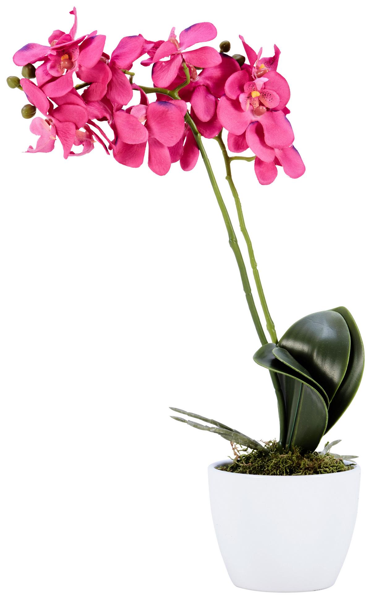 Kunstpflanze Orchidee Bunt H: 40 cm Im Topf, Sofie - Lila/Weiß, KONVENTIONELL, Keramik/Kunststoff (40cm)