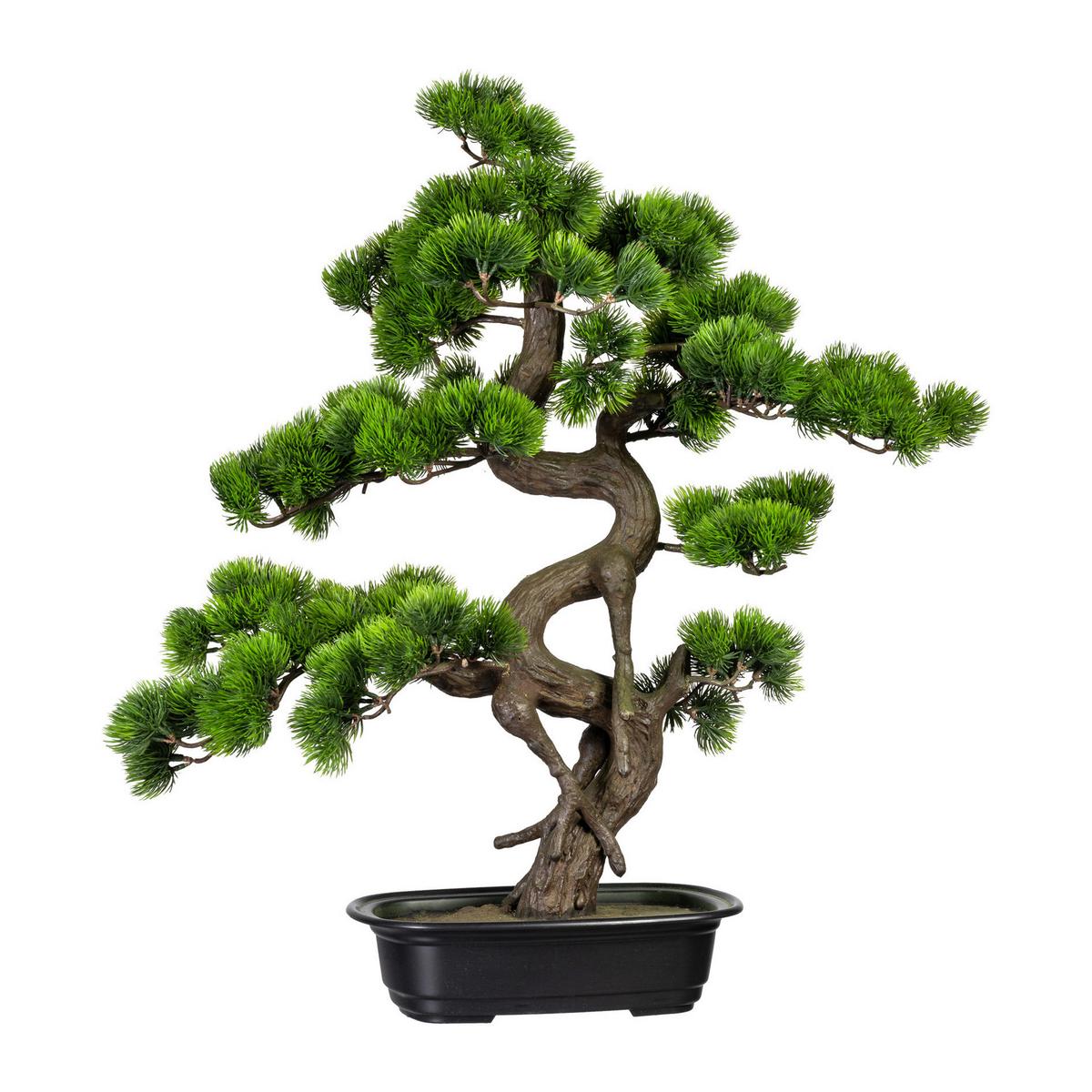 Kunstpflanze Bonsai Grün L: 65 cm mit Topf - Schwarz/Braun, Basics, Kunststoff (50/65cm) - P & B