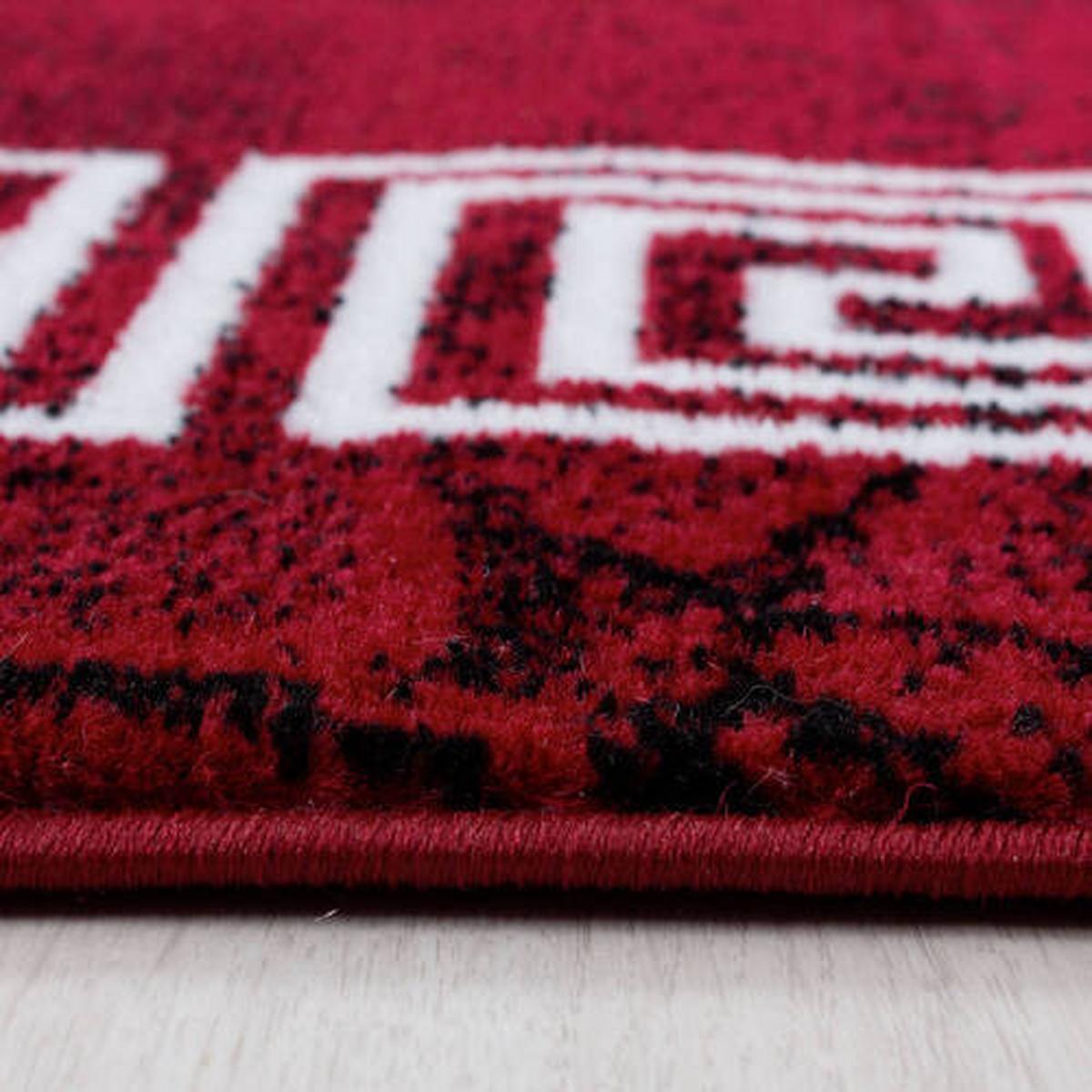 Webteppich Plus - Rot, Basics, Textil (240/340cm) - Novel
