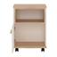 Pojízdný Kontejner Amazon - Moderní (46/64/46cm) Pojízdný Kontejner Amazon - Moderní (46/64/46cm)