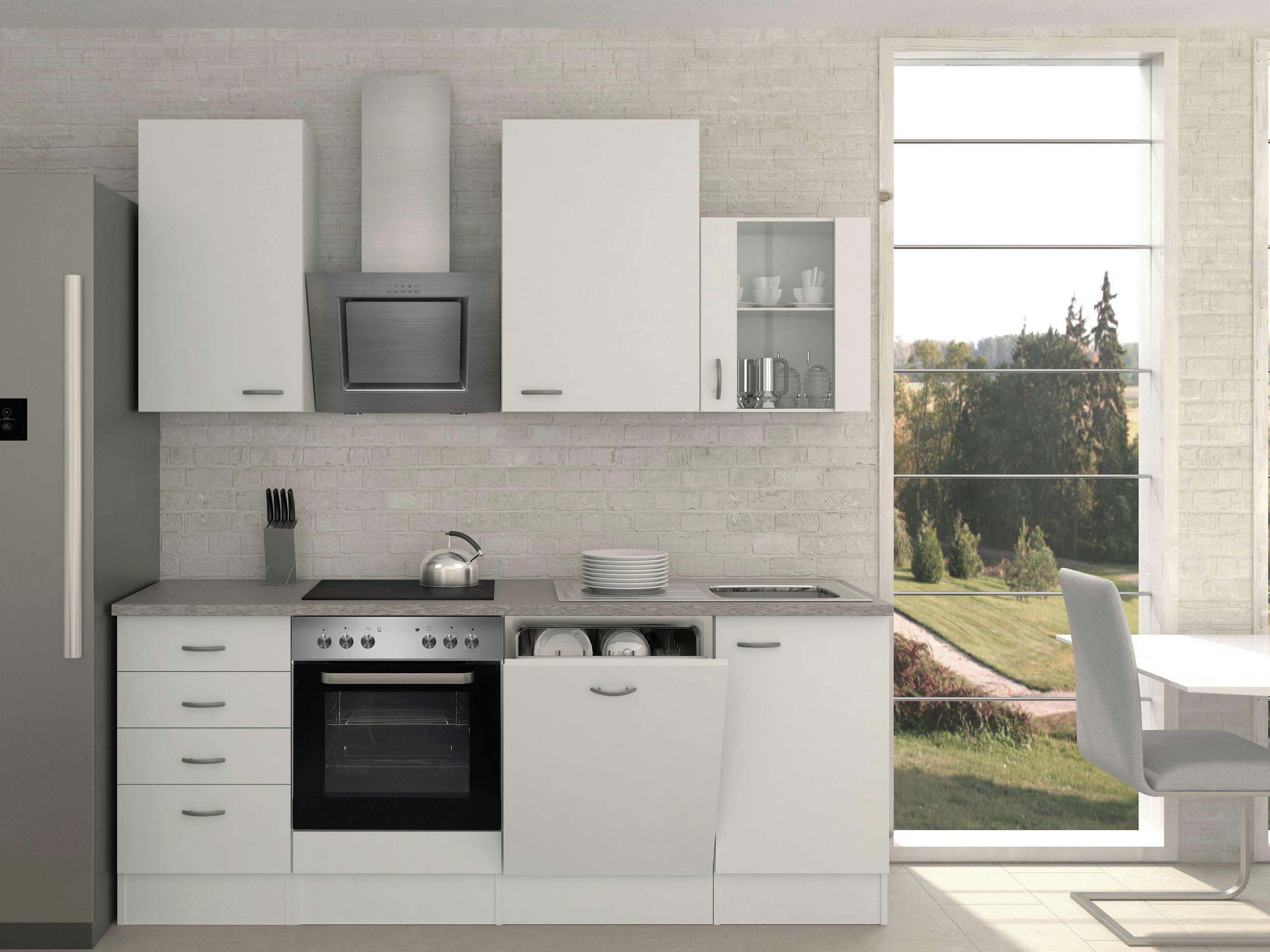 Küchenzeile Wito M. Geräten 220 Cm Grau/weiß Elegant - Hellgrau/Weiß, MODERN, Glas/Holzwerkstoff (220cm) - FlexWell