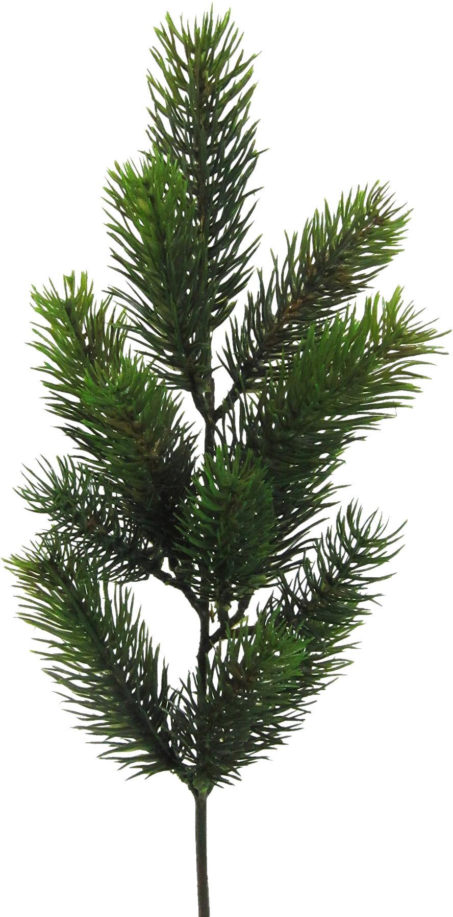 Dekozweig Tanne Grün L: ca. 50 cm Nils - Grün, KONVENTIONELL, Kunststoff (50cm)