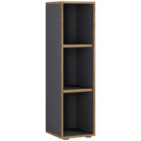 REGÁL NA ŠANÓNY SALIA B30 - čierna/dub medový, Design, kompozitné drevo/plast (30/110/33cm) - P & B