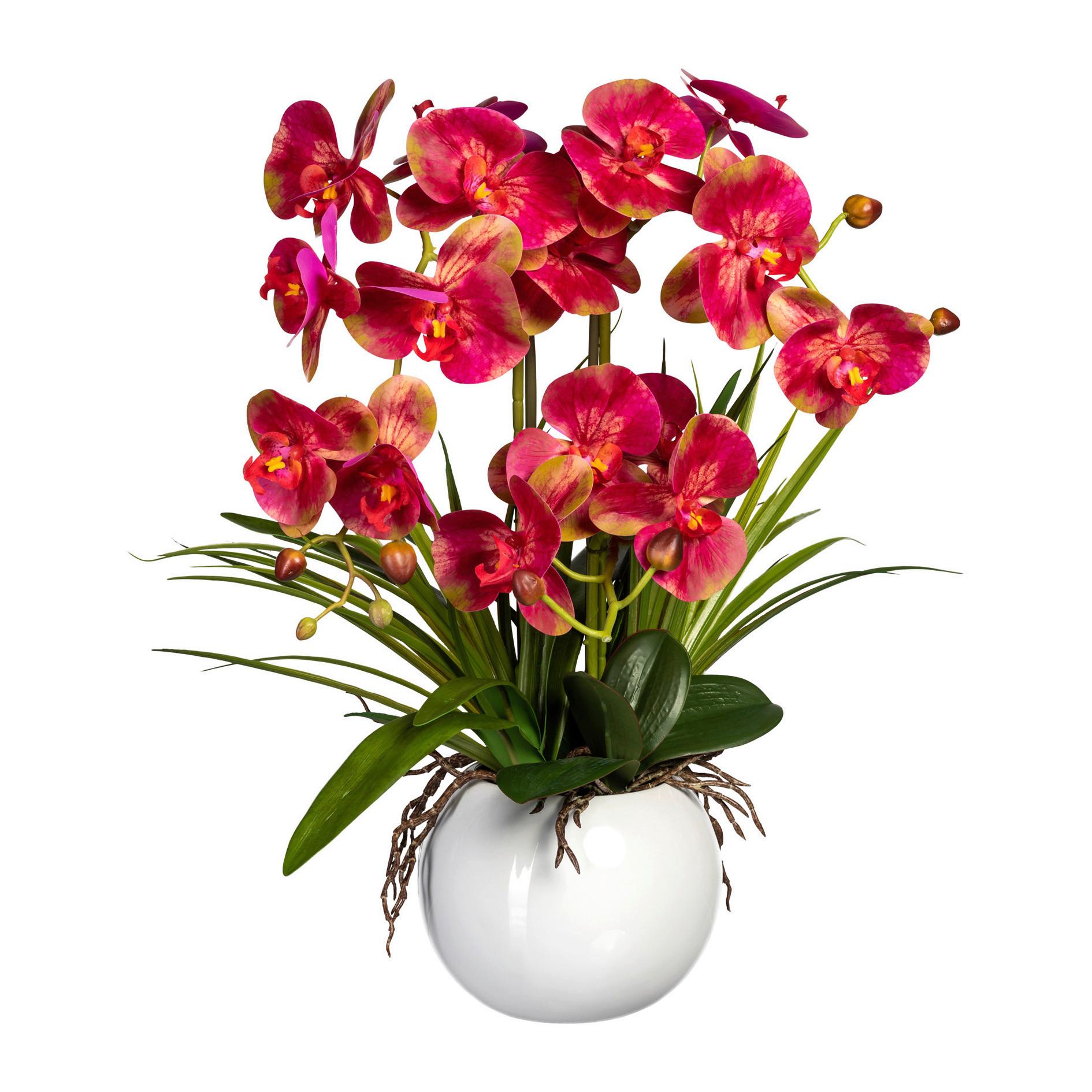 Kunstpflanze Orchidee H: 58 Cm - Pink/Weiß, Basics, Keramik/Kunststoff (58cm) - P & B