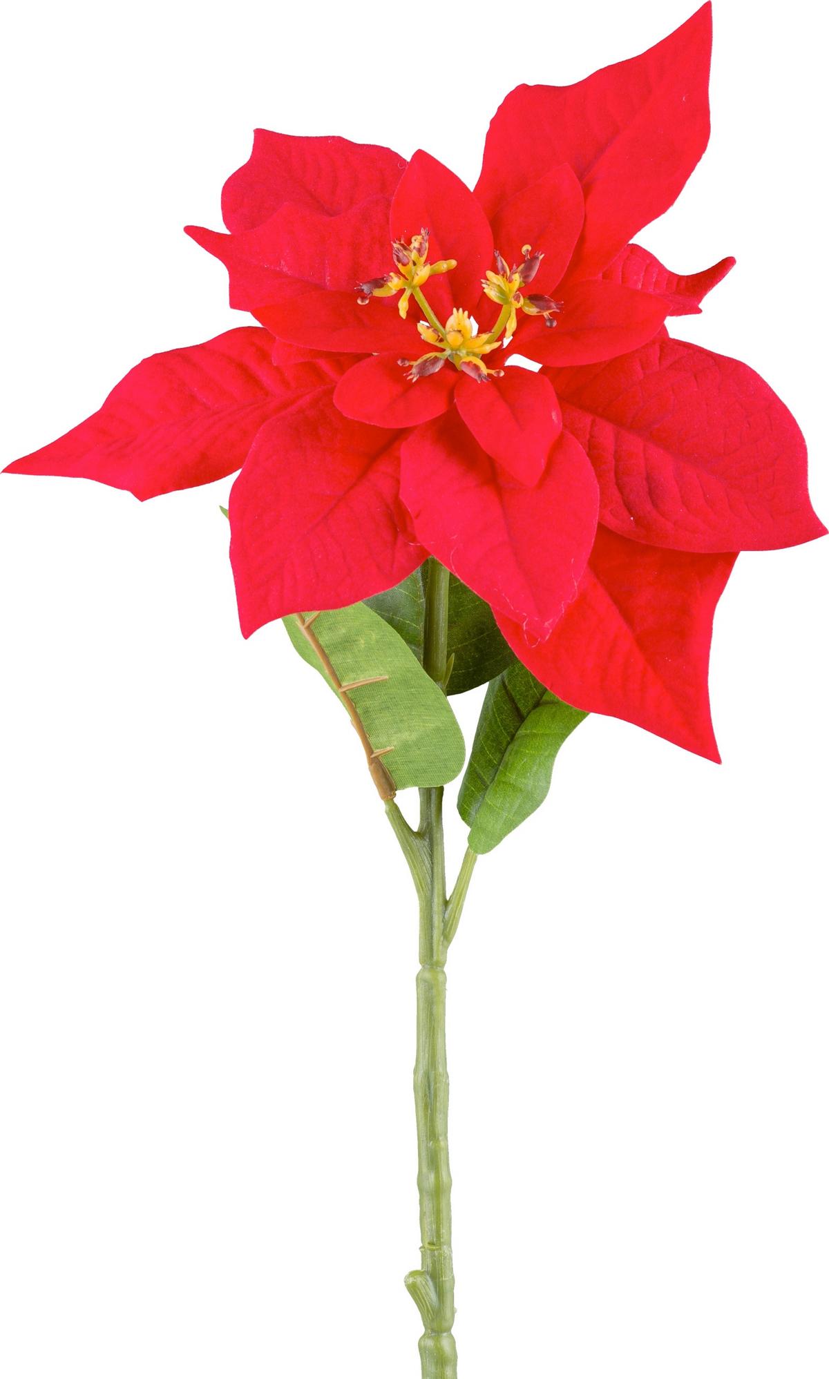 Kunstpflanze Poinsettia - Rot/Grün, KONVENTIONELL, Kunststoff (60cm)