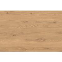 Arbeitsplatte Apl - Eichefarben, MODERN - Vertico