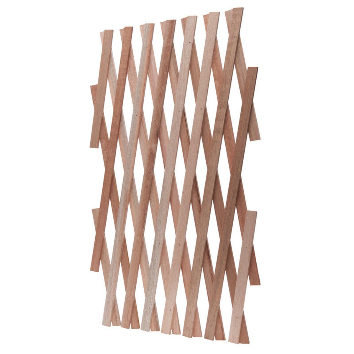 Rankhilfe Holzspalier Naturfarben B:45cm - Naturfarben, Basics, Holz (45/180cm)