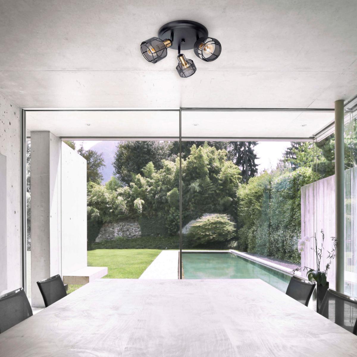 Deckenleuchte Deckenleuchte - Goldfarben/Schwarz, Natur, Metall (12,5cm) - Näve