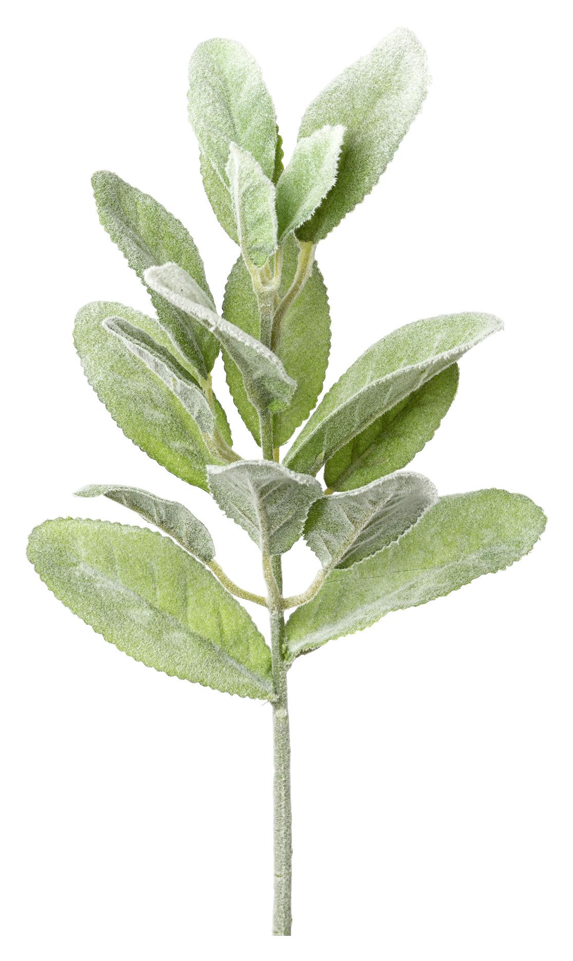 Dekozweig Salbei
