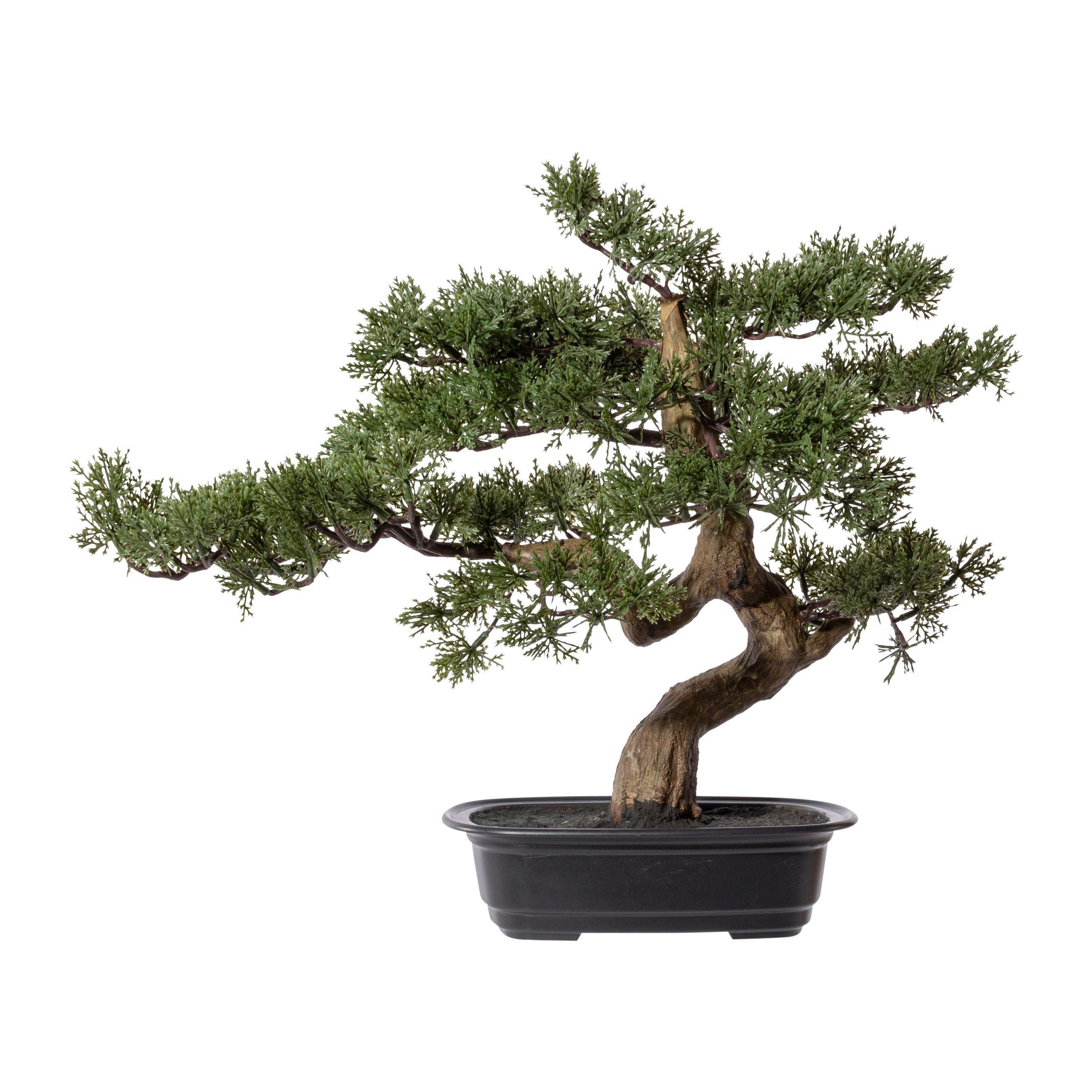 Kunstpflanze, Bonsai Grün, H: 40 cm - Schwarz/Braun, Design, Kunststoff (40cm) - P & B