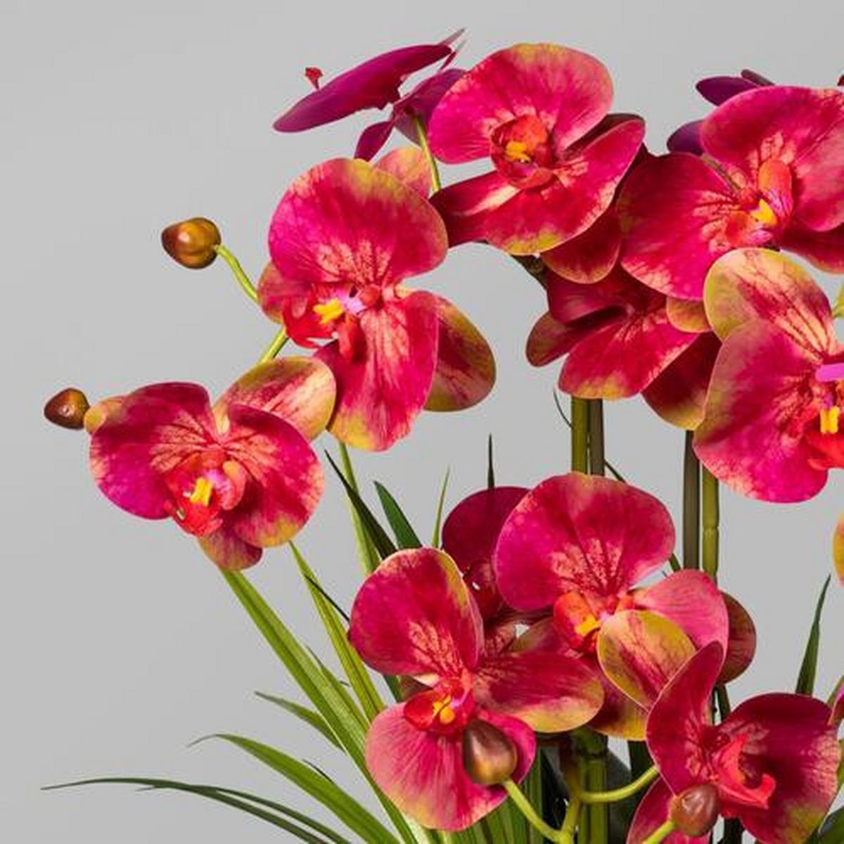 Kunstpflanze Orchidee H: 58 Cm - Pink/Weiß, Basics, Keramik/Kunststoff (58cm) - P & B