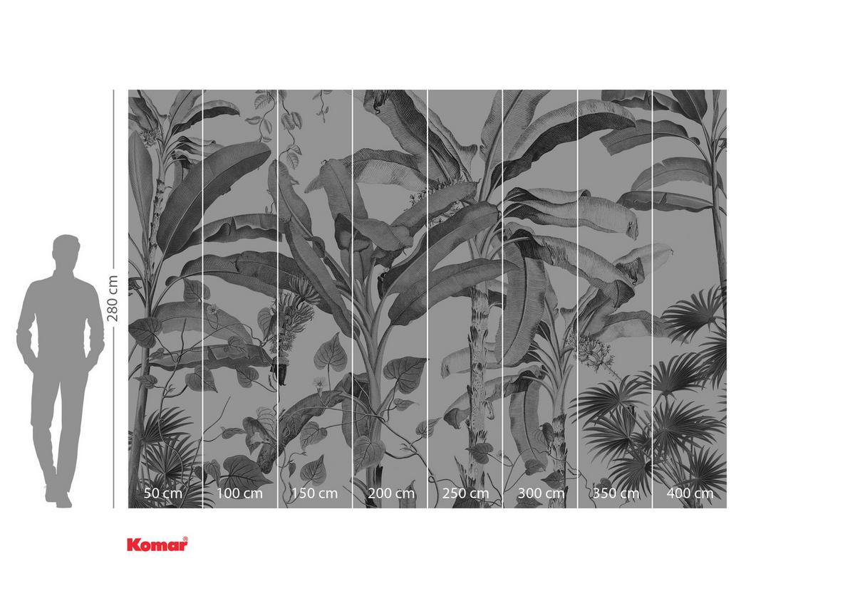 Fototapete Croissances Monochrome - Schwarz/Weiß, Trend, Papier (400/280cm) - Komar