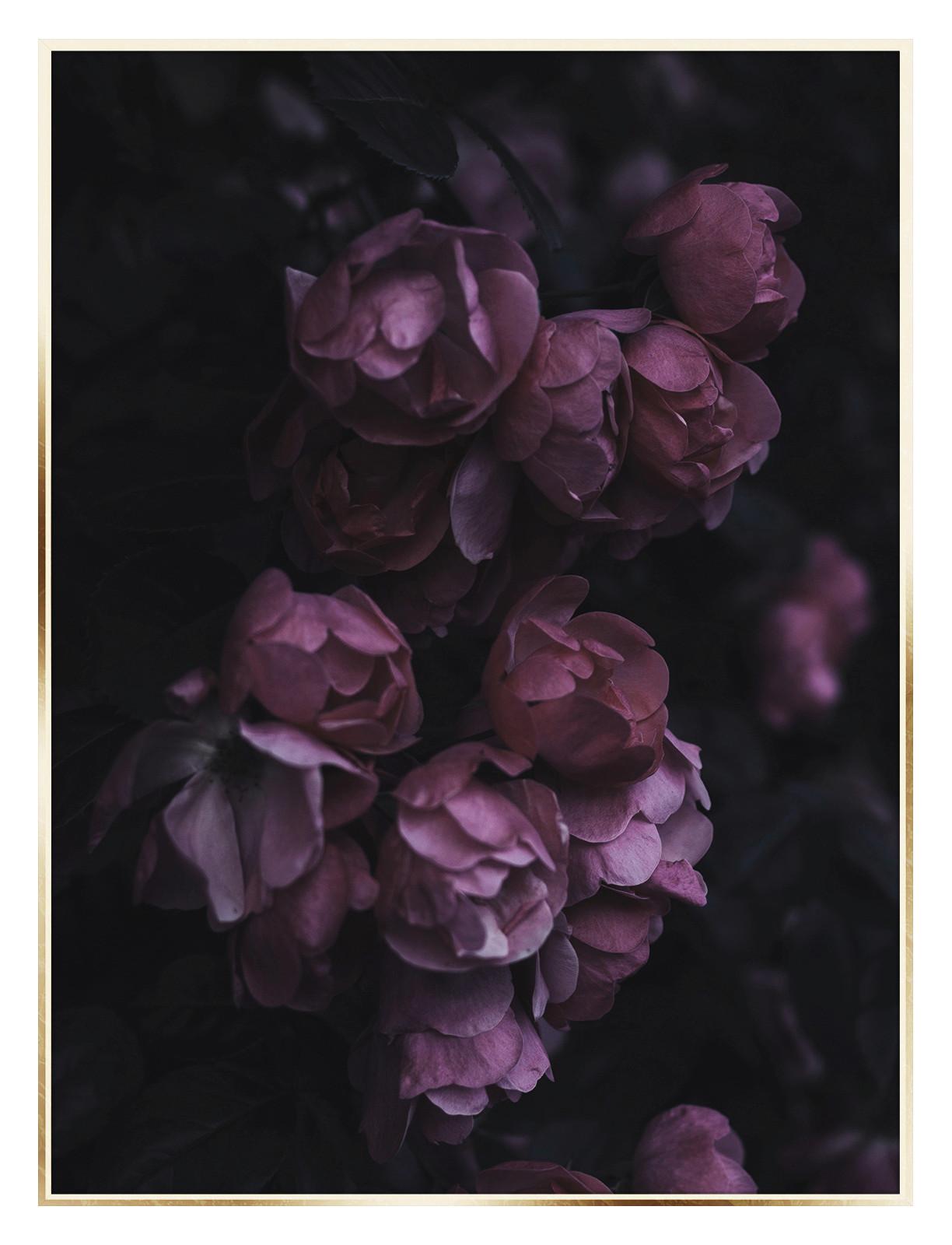 Obraz Elena, 50/70cm - lila/čierna, drevo/papier (50/70cm) - Modern Living