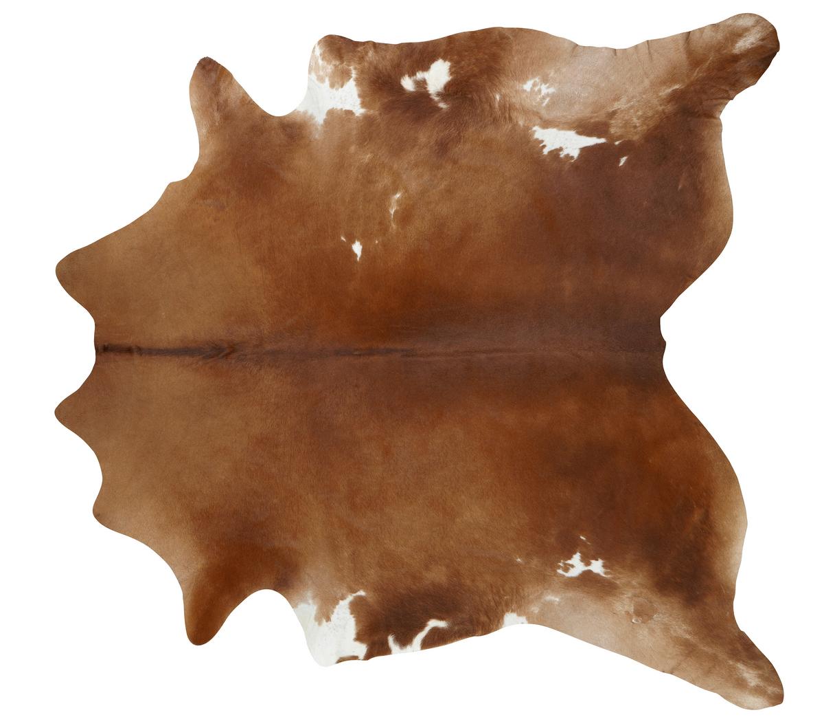 HOVĚZÍ KOŽEŠINA Heino, 200/300cm - černá/hnědá, kožešina (200/300cm) - Modern Living