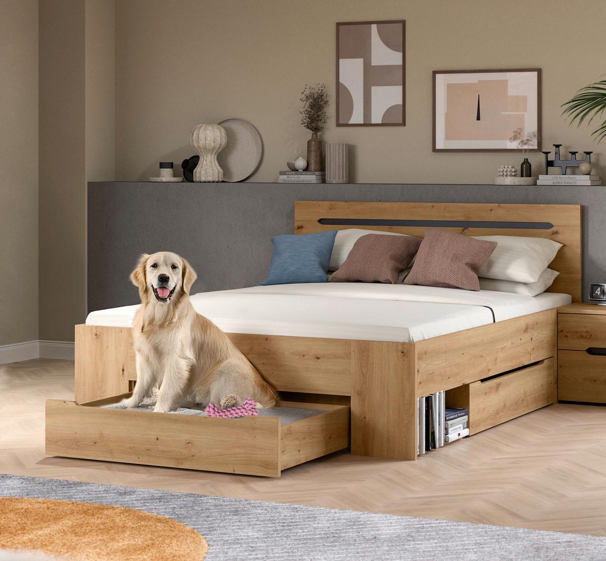 Bett Canu Grau /Eiche Artisan Dekor 140x200cm - Eiche Artisan/Grau, MODERN, Holzwerkstoff (140/200cm) - MID.YOU