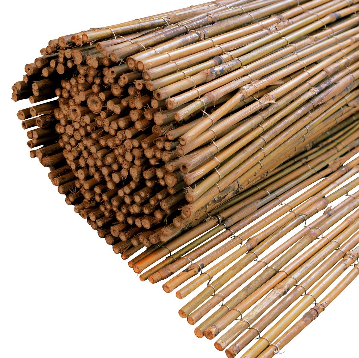 Sichtschutz Taipei Bambus - Naturfarben, Basics, Naturmaterialien (300/100cm)