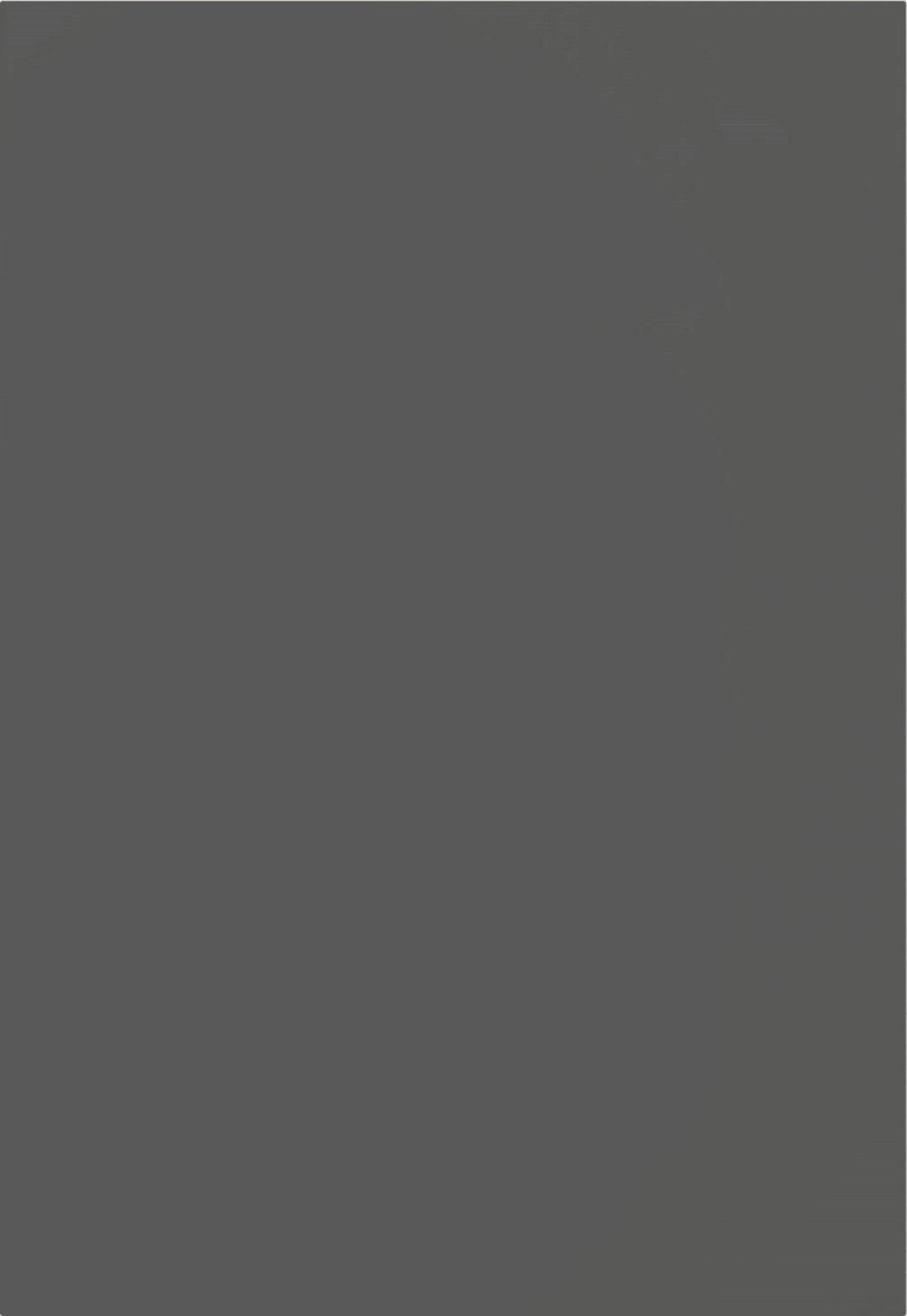 Front: Schiefergrau Premium Mit Front Sidney - Dunkelgrau, MODERN - Vertico