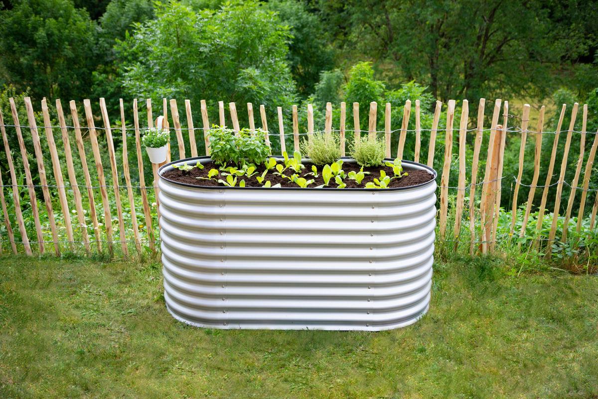 Hochbeet Metall Hochbeet Oval 160 Cm - Silberfarben, Basics, Metall (160/82/80cm)