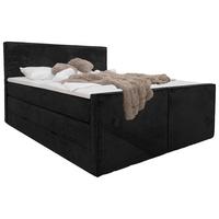 Boxspringbett Rodi Schwarz Lf: 160x200 cm - Schwarz, MODERN, Textil (160/200cm) - Livetastic