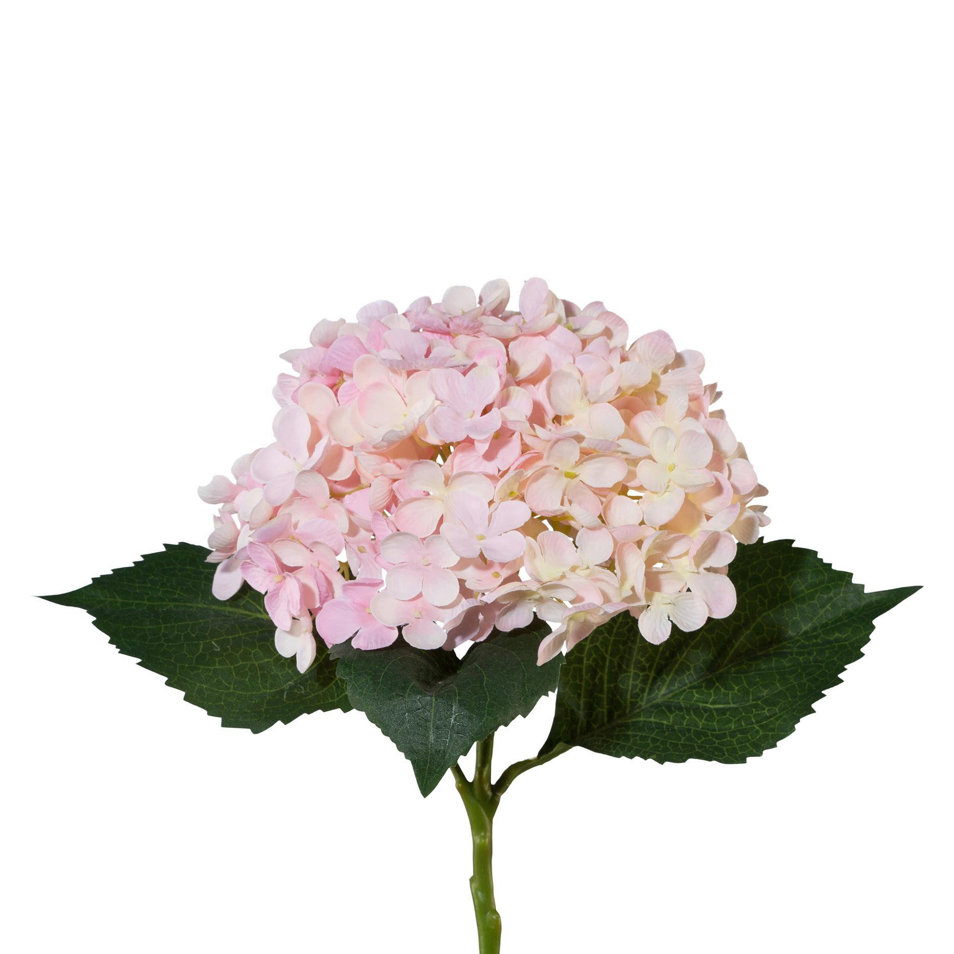Kunstpflanze Lia Rosa L 53 cm - Rosa/Grün, KONVENTIONELL, Kunststoff (53cm)