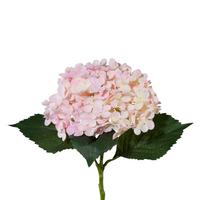 Kunstpflanze Lia Rosa L 53 cm - Rosa/Grün, KONVENTIONELL, Kunststoff (53cm)
