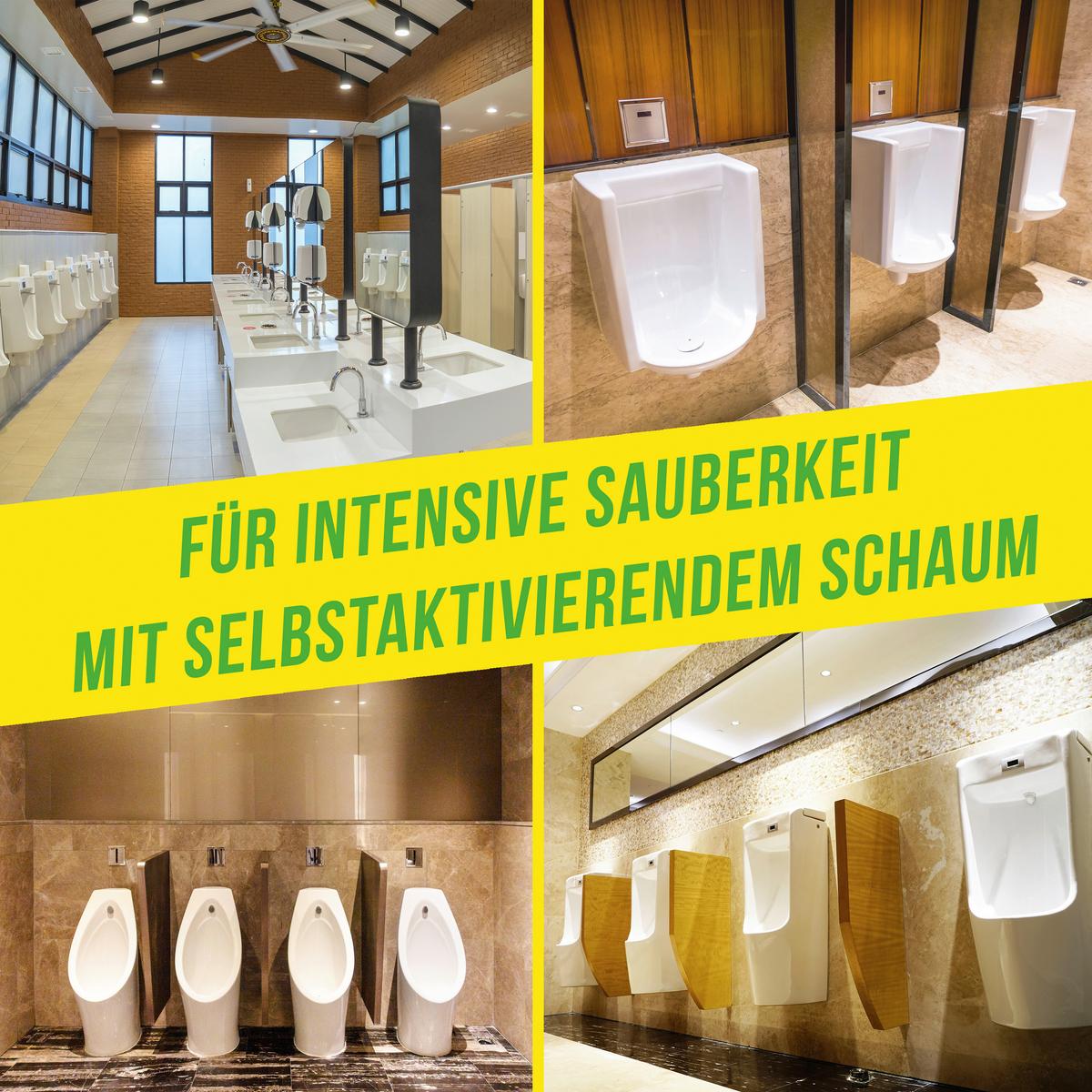 Reinigungsset WC Power Pulver - Basics (1kg) - Urban Forest